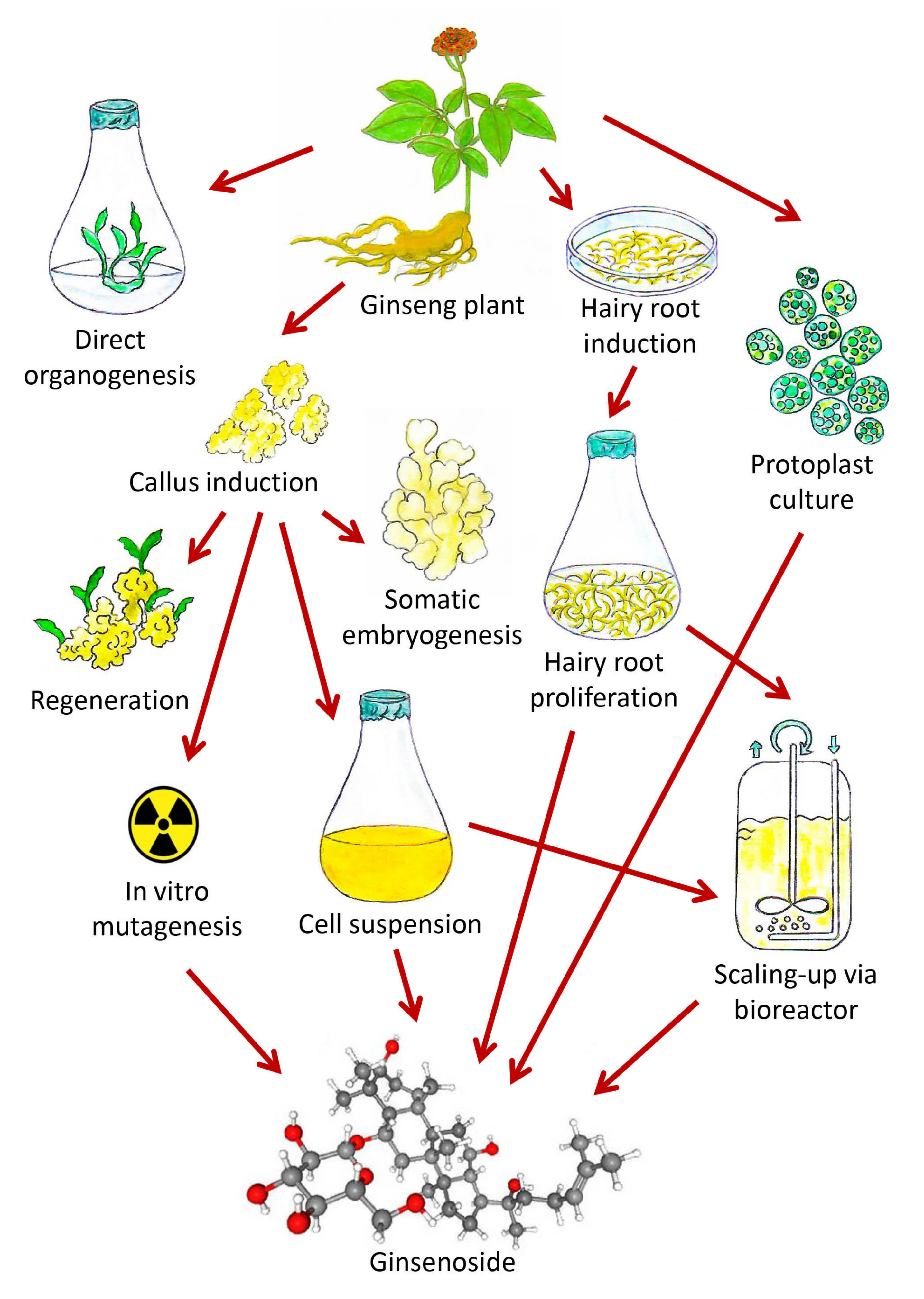 Biomolecules 10 00538 g003
