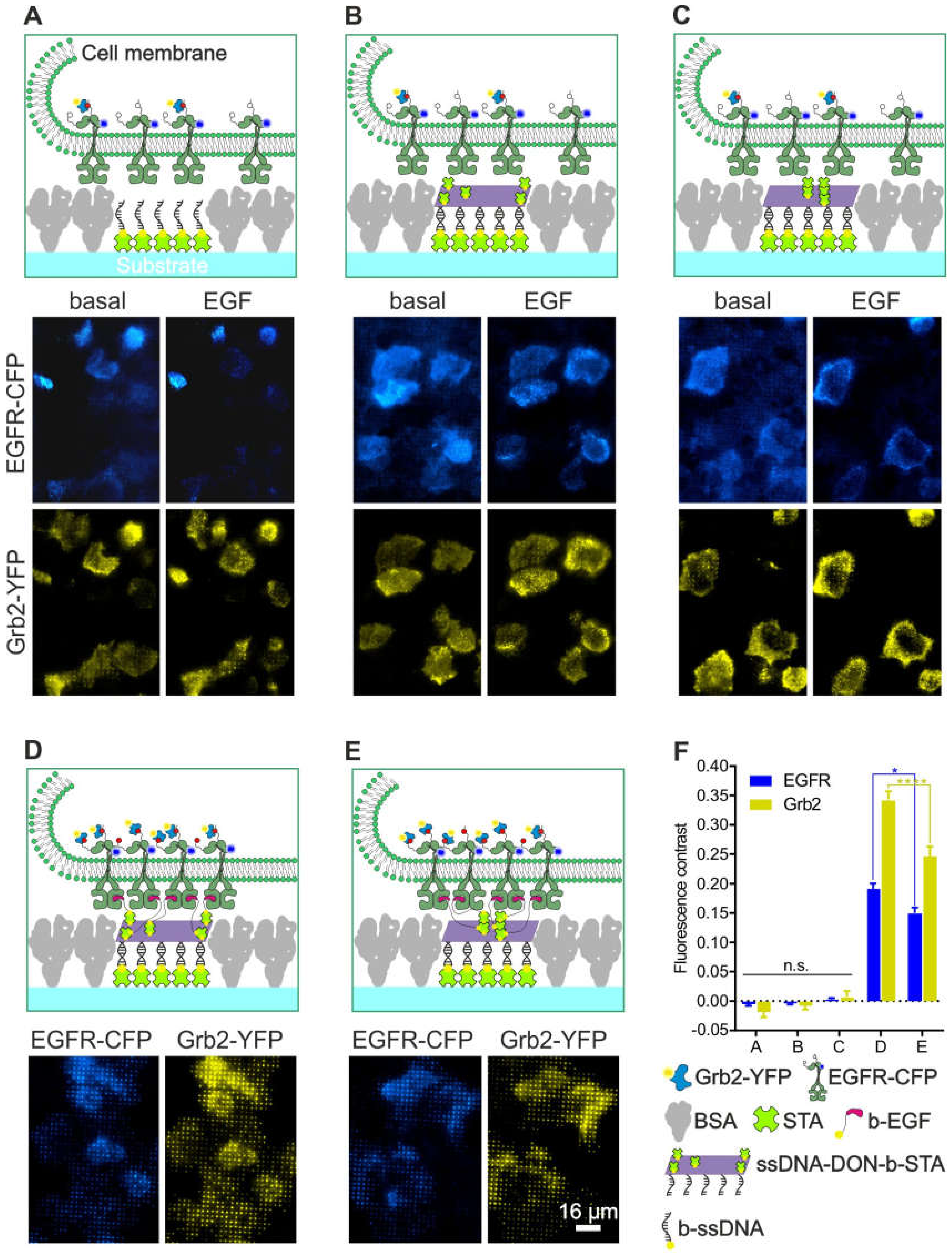 Biomolecules 10 00540 g006