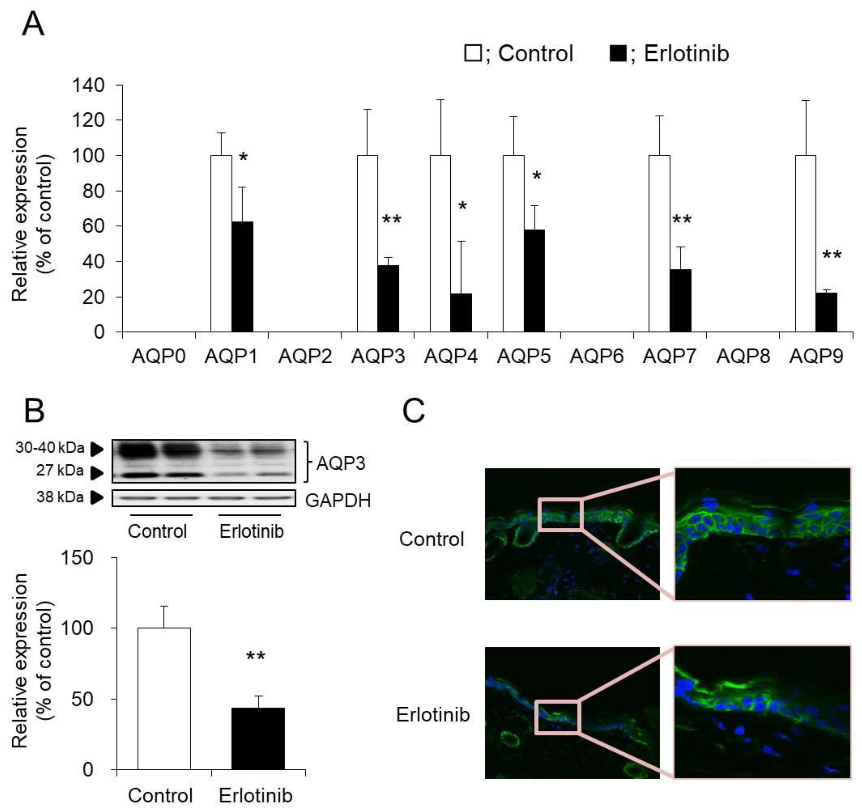 Biomolecules 10 00545 g003