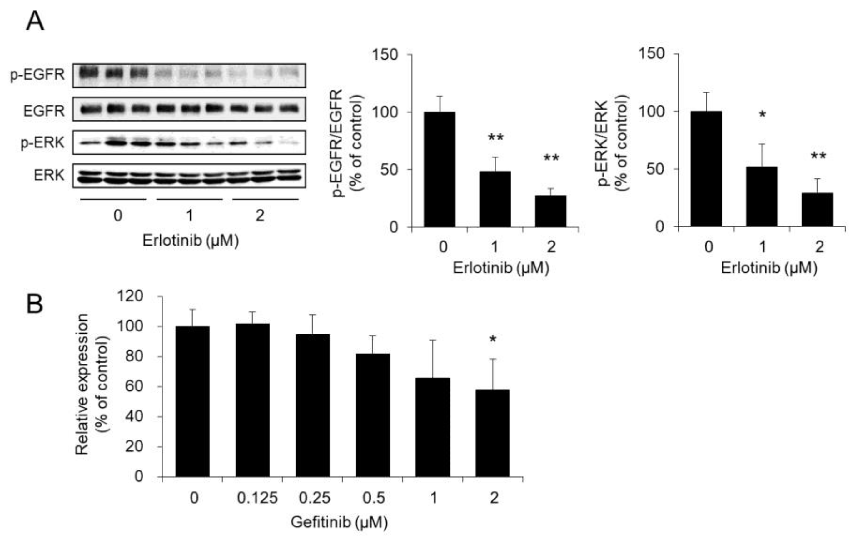 Biomolecules 10 00545 g005