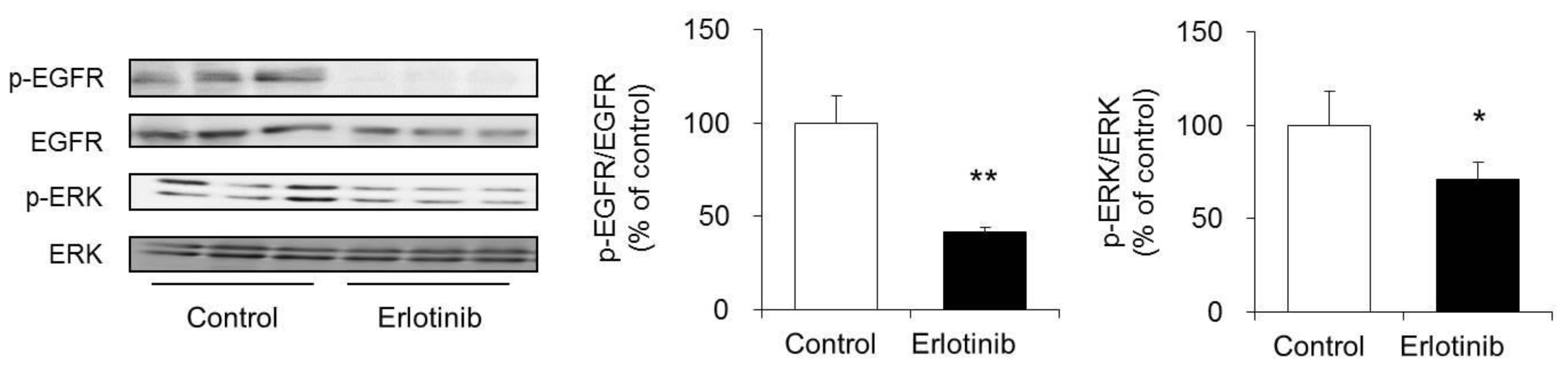 Biomolecules 10 00545 g006