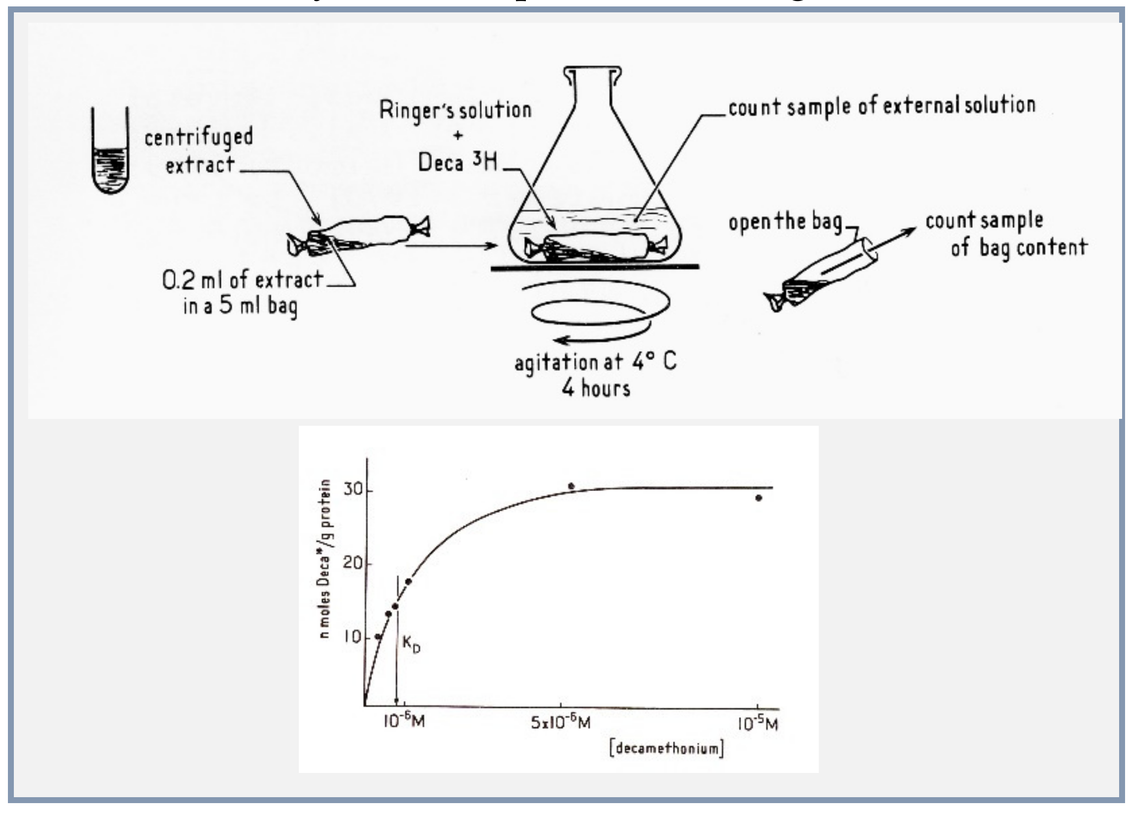 Biomolecules 10 00547 g005 Biomolecules 10 00547 g005