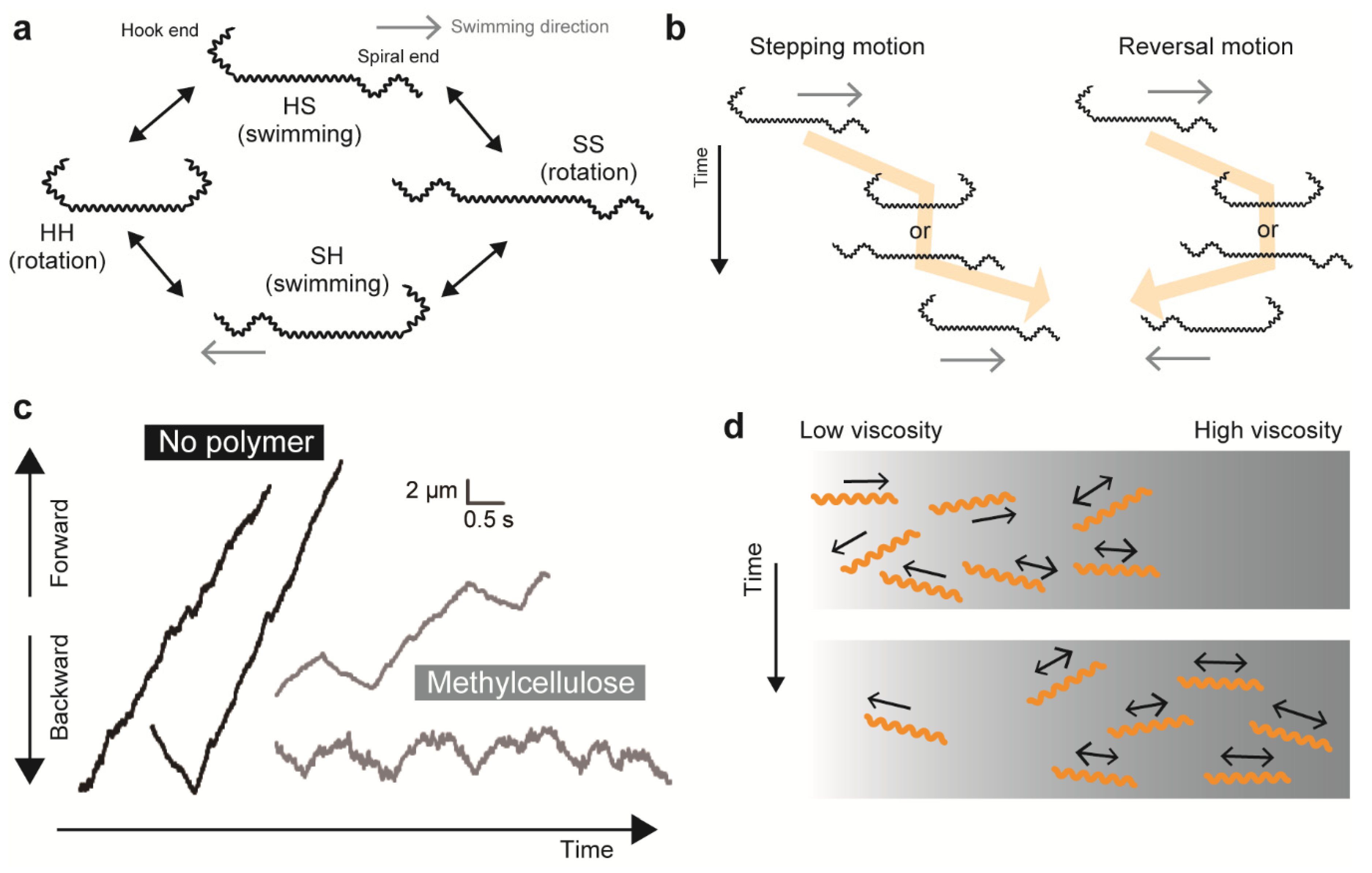 Biomolecules 10 00550 g004 Biomolecules 10 00550 g004
