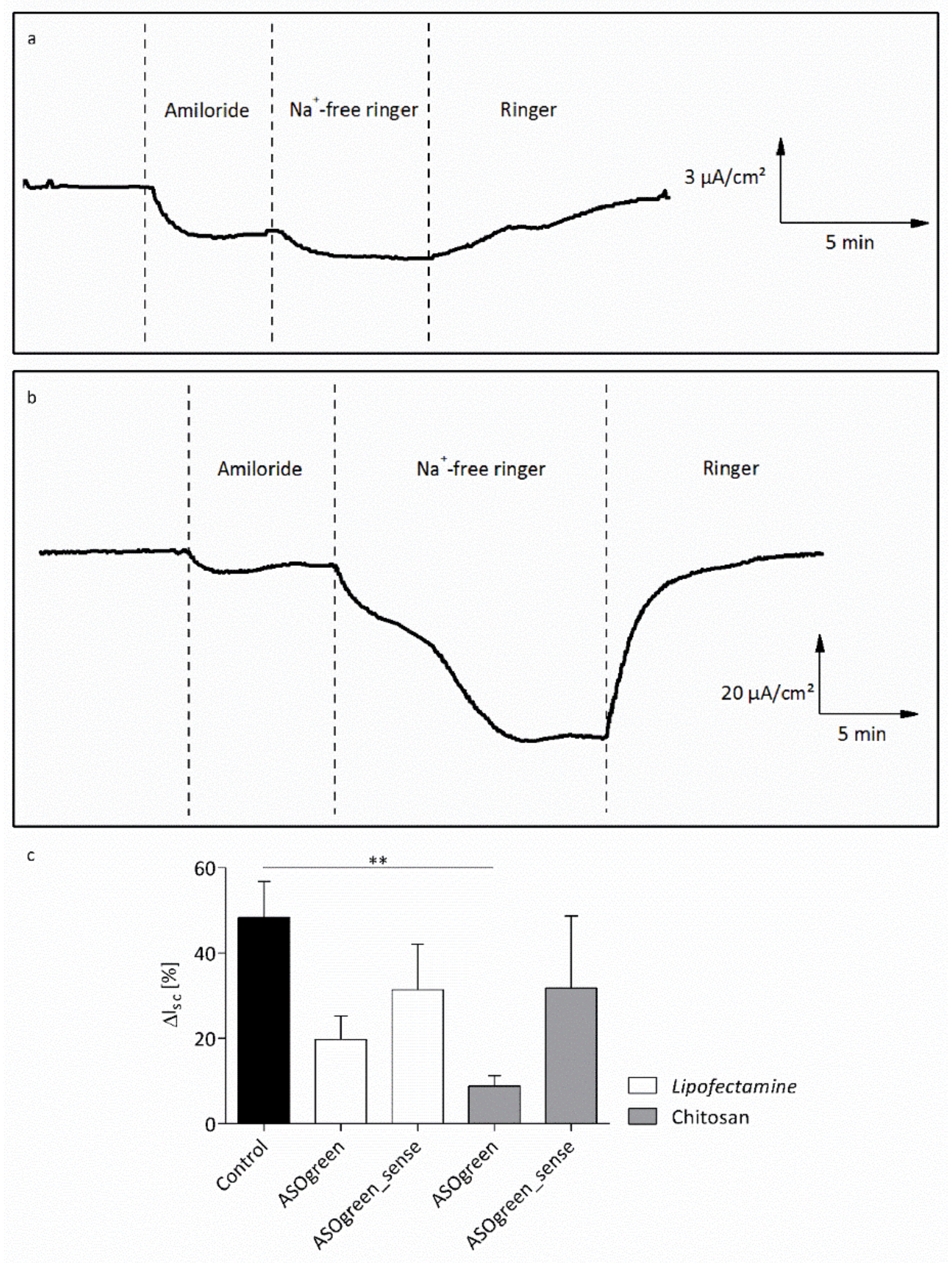 Biomolecules 10 00553 g009