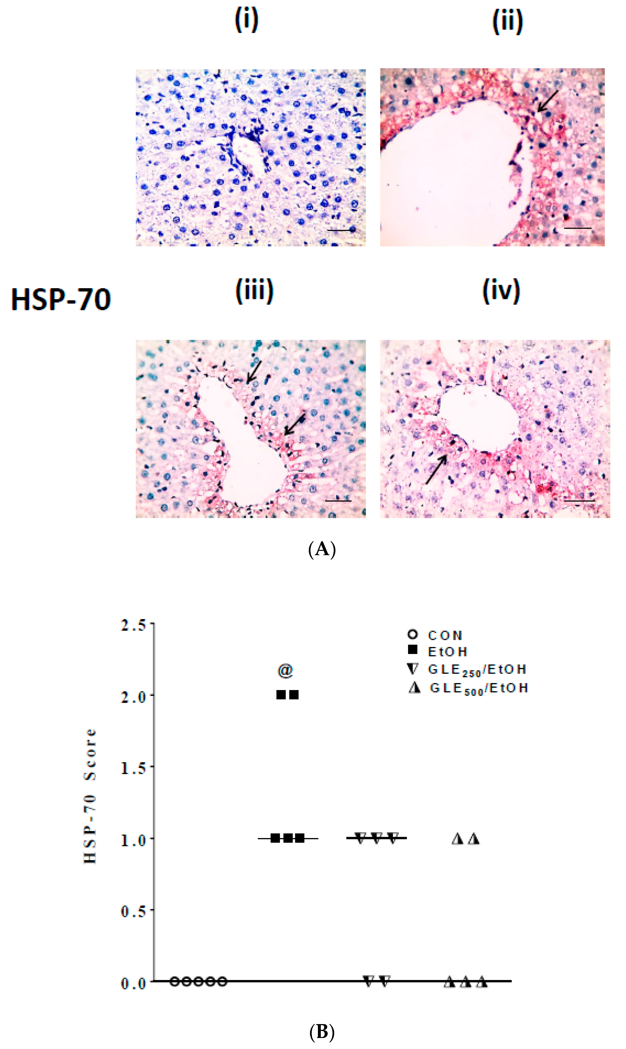 Biomolecules 10 00558 g005