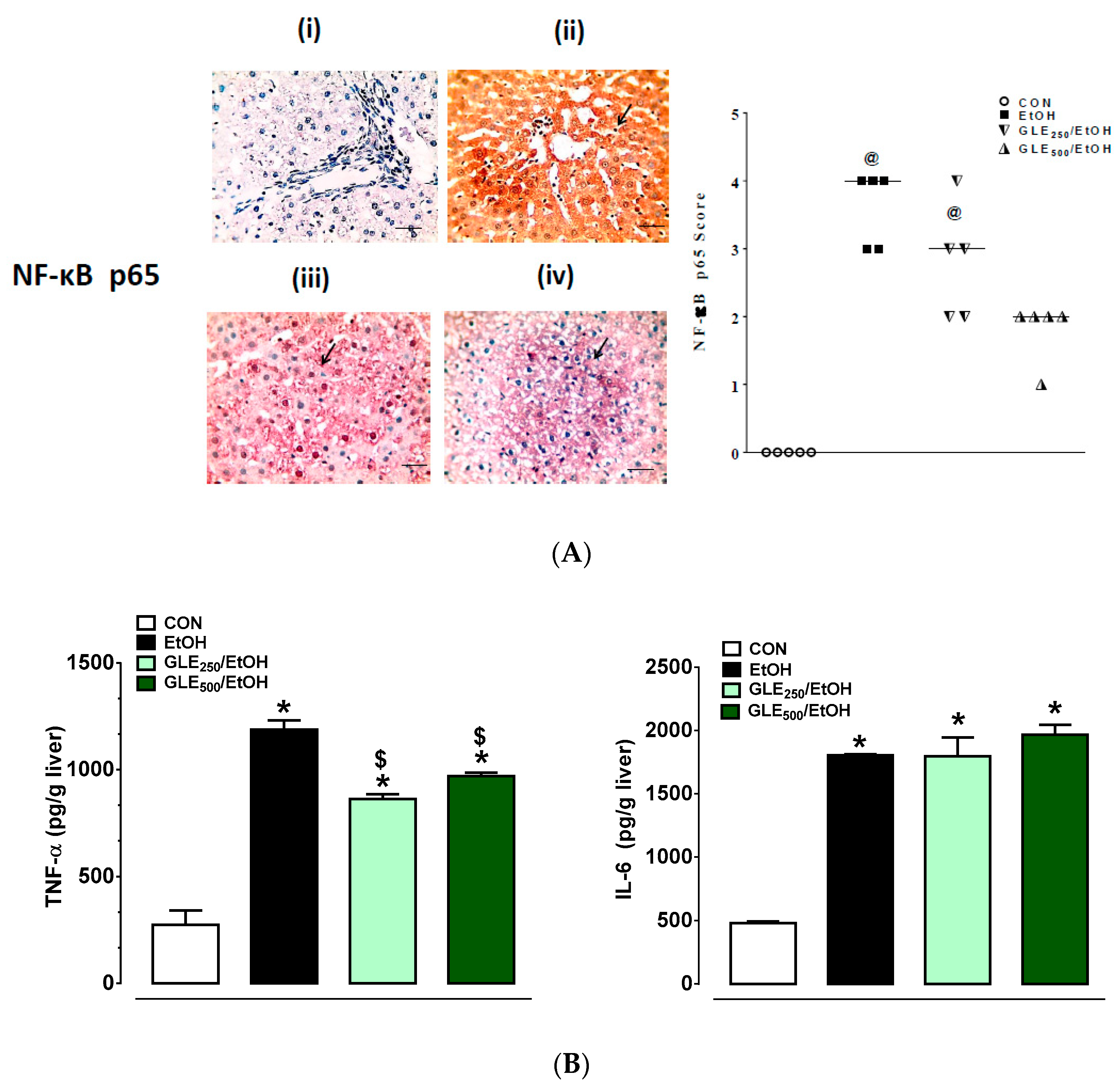 Biomolecules 10 00558 g006