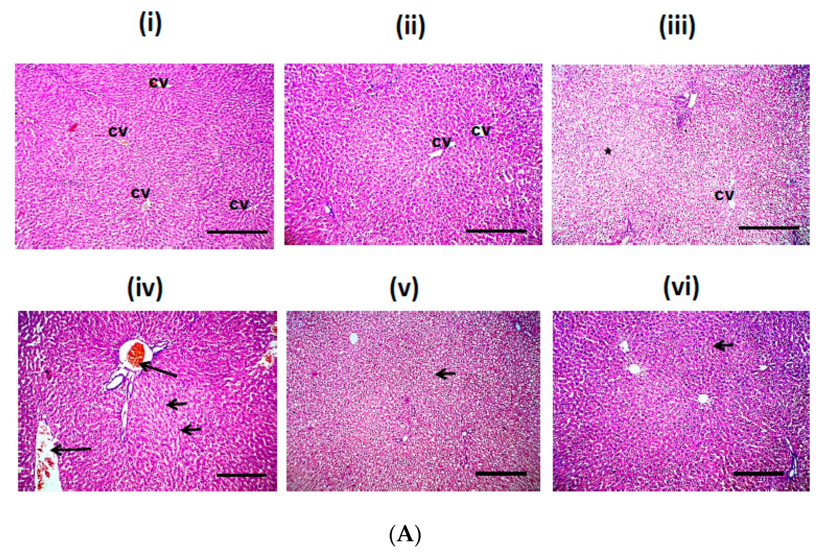 Biomolecules 10 00558 g008a