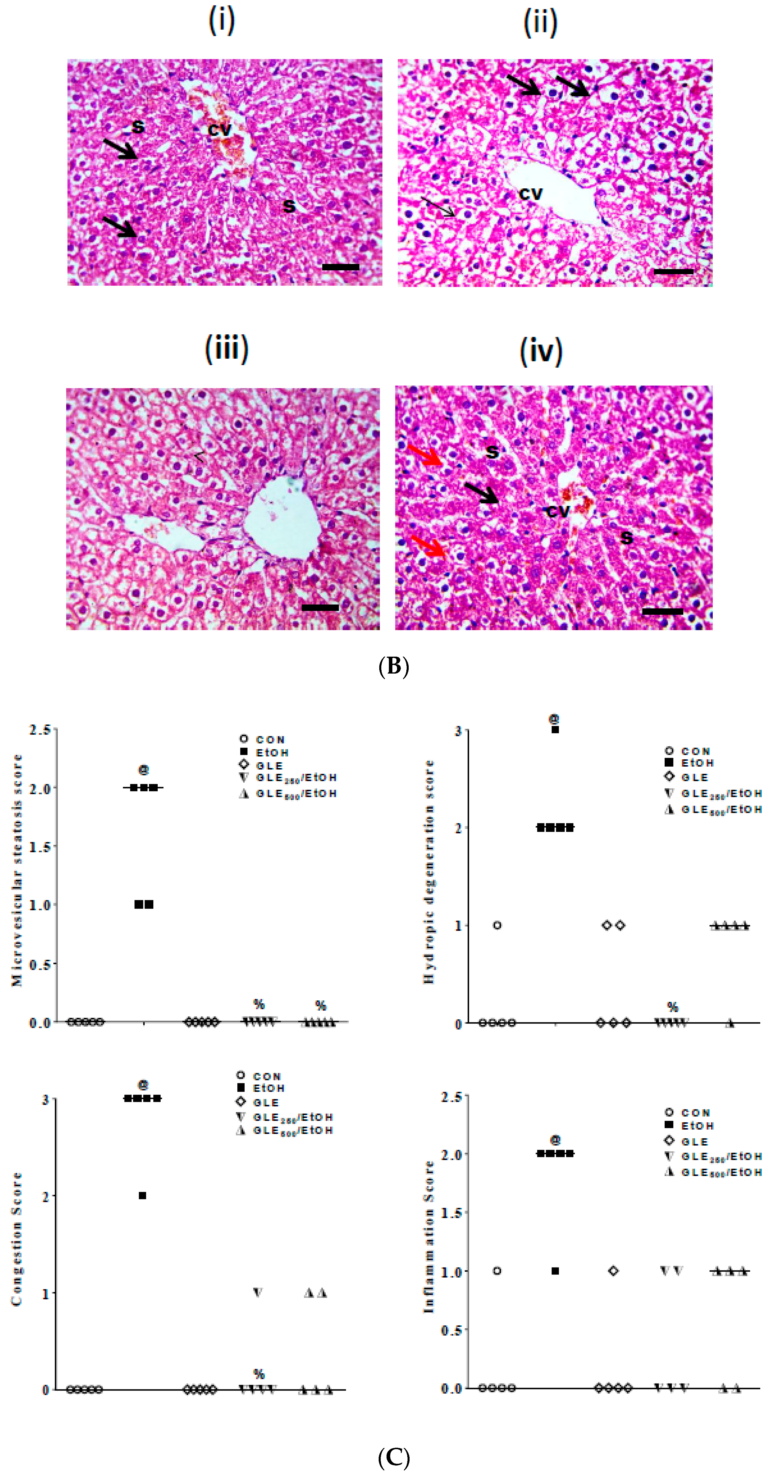 Biomolecules 10 00558 g008b