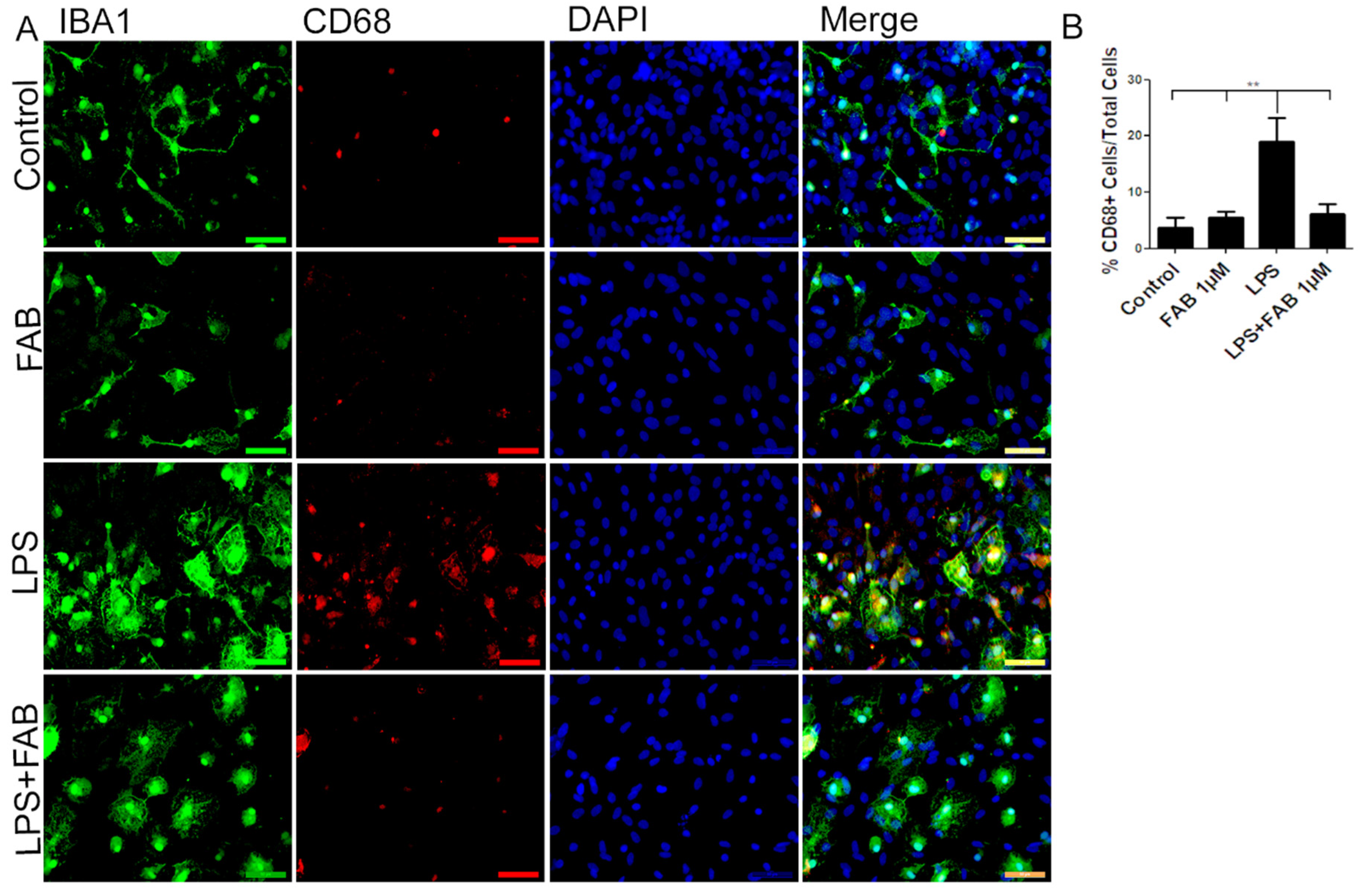 Biomolecules 10 00562 g003