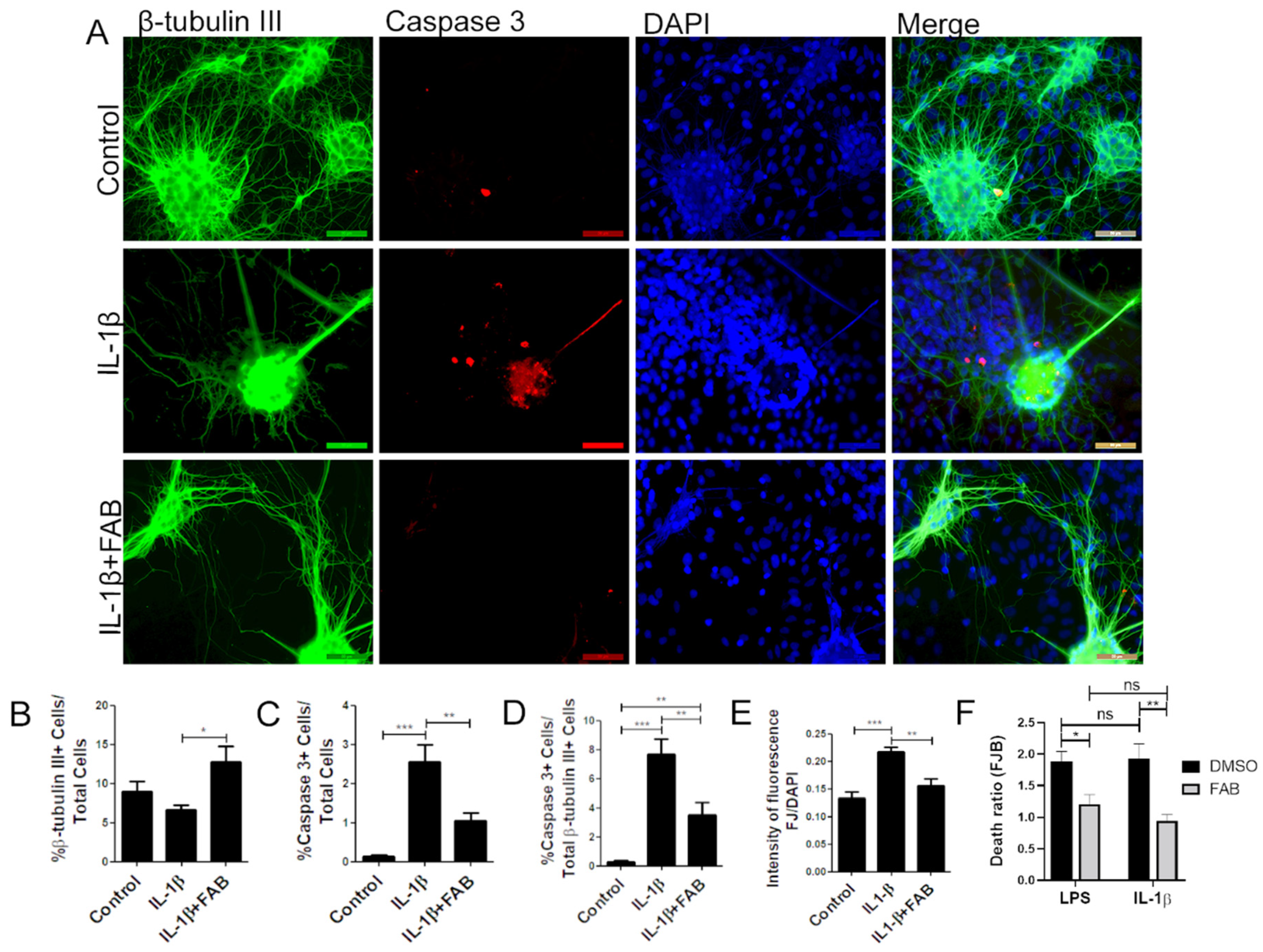 Biomolecules 10 00562 g004