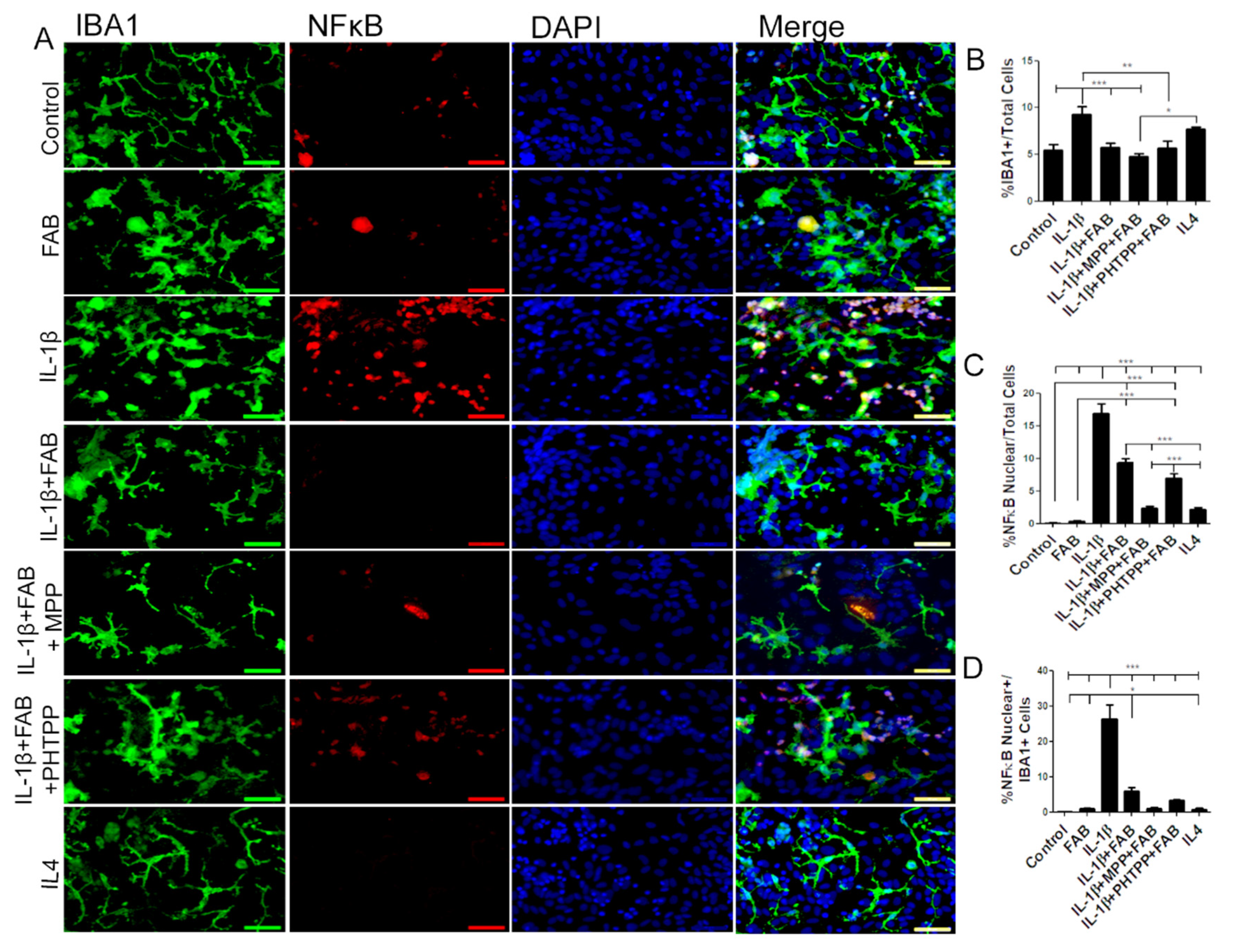 Biomolecules 10 00562 g006