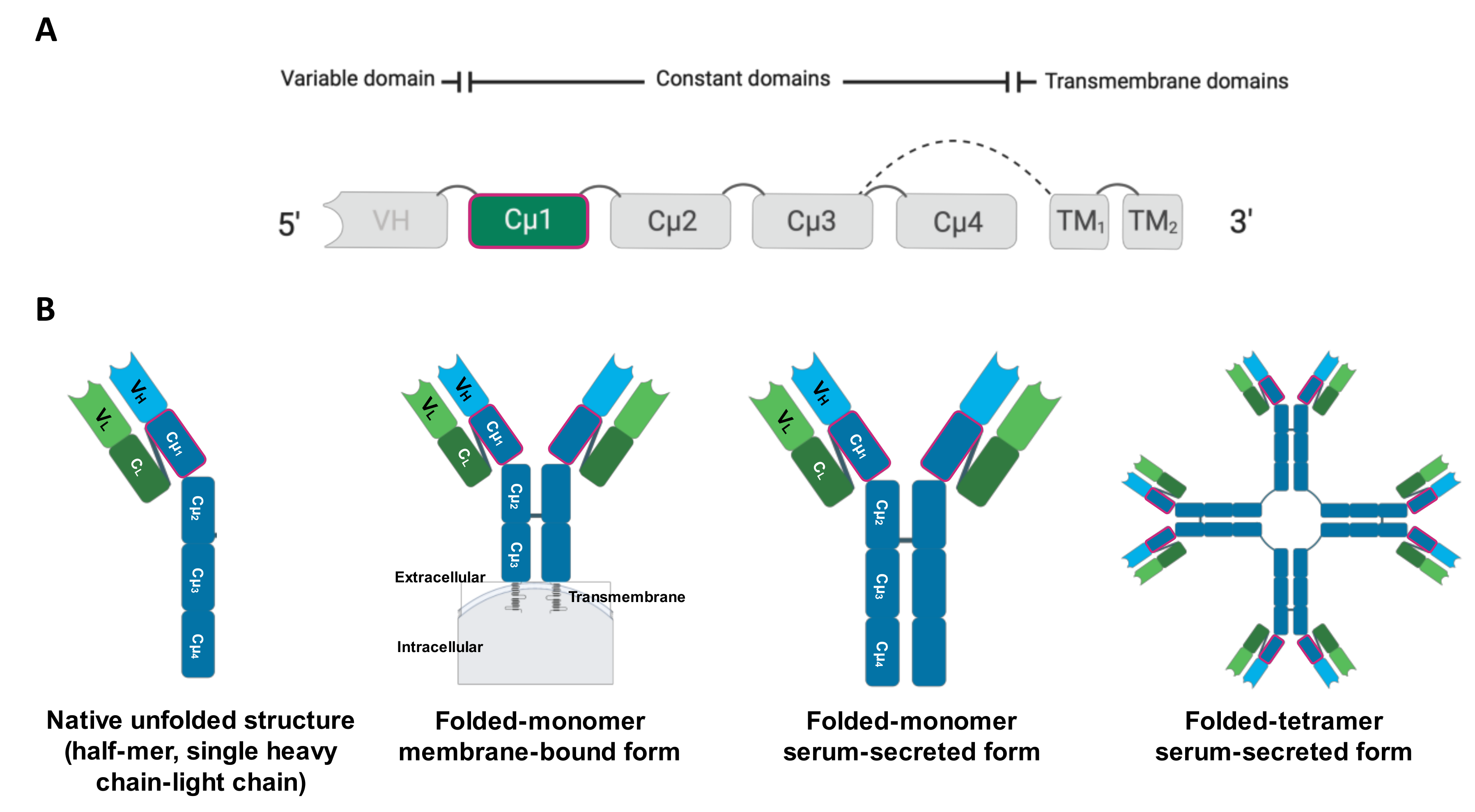 Biomolecules 10 00567 g001