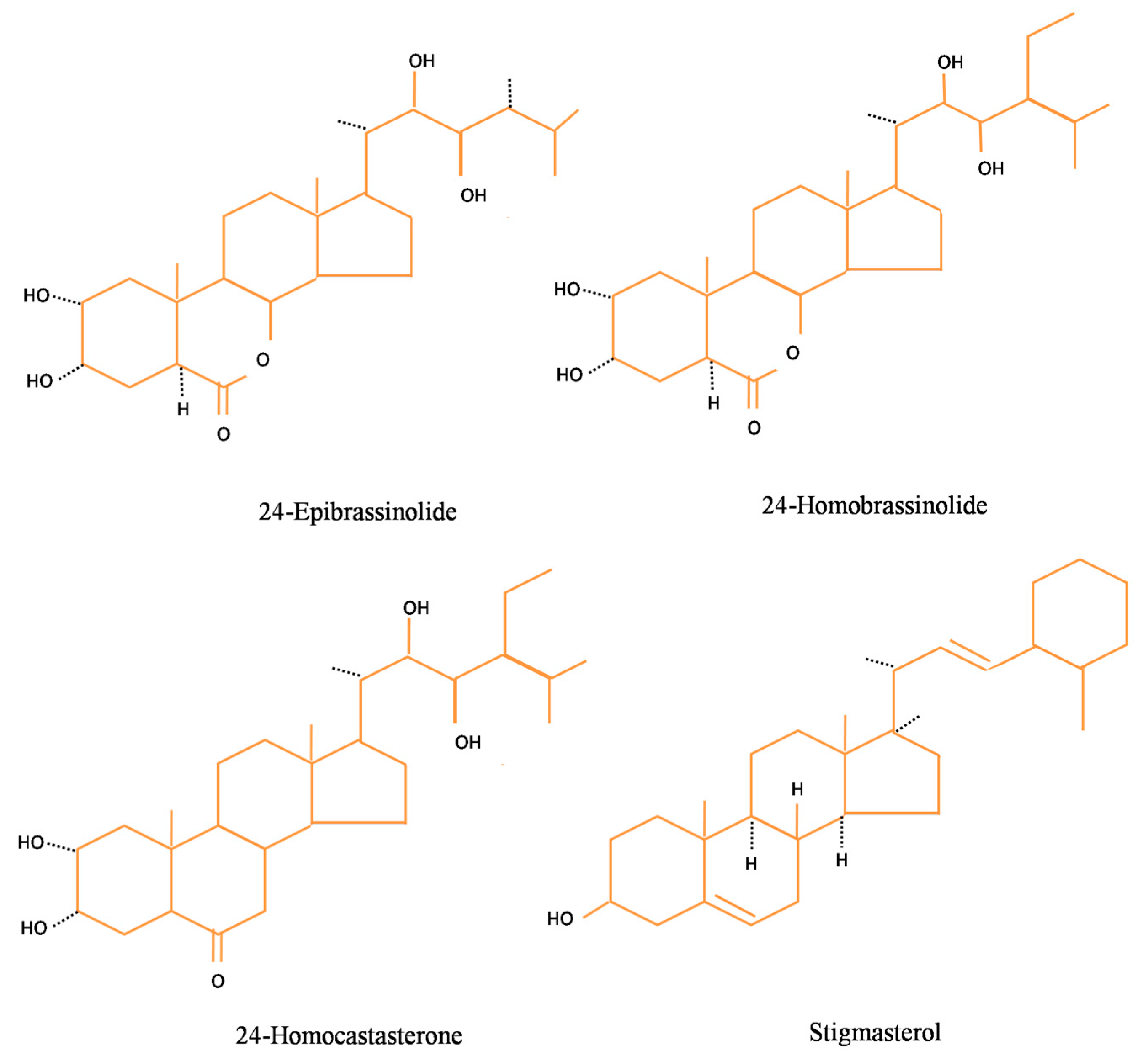 Biomolecules 10 00572 g001 Biomolecules 10 00572 g001