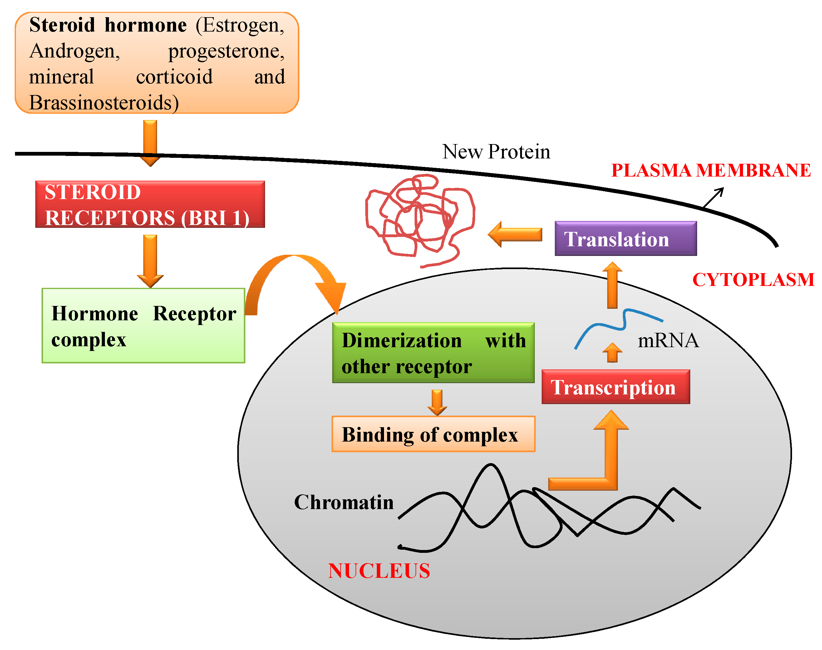 Biomolecules 10 00572 g002 Biomolecules 10 00572 g002