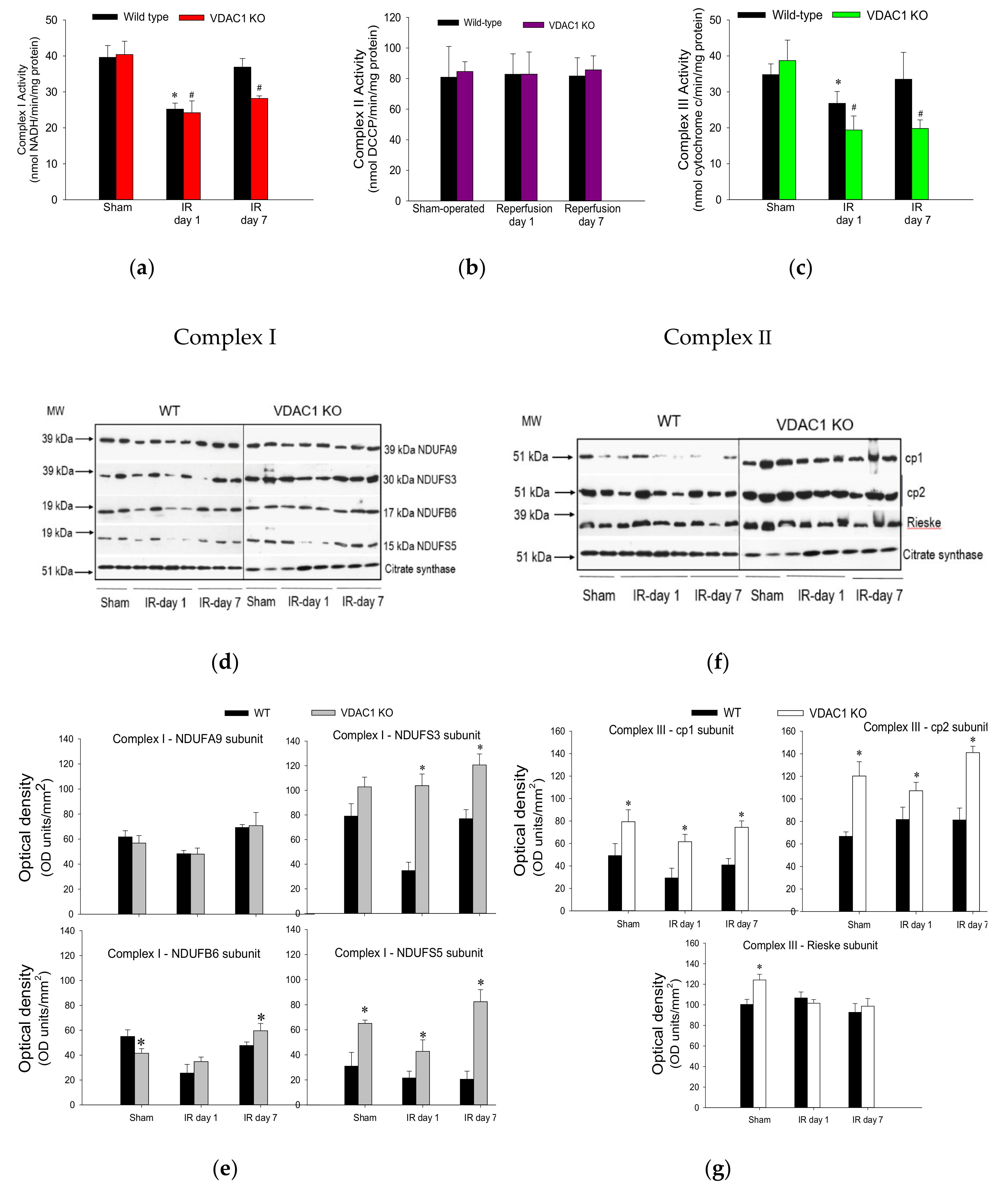 Biomolecules 10 00585 g007