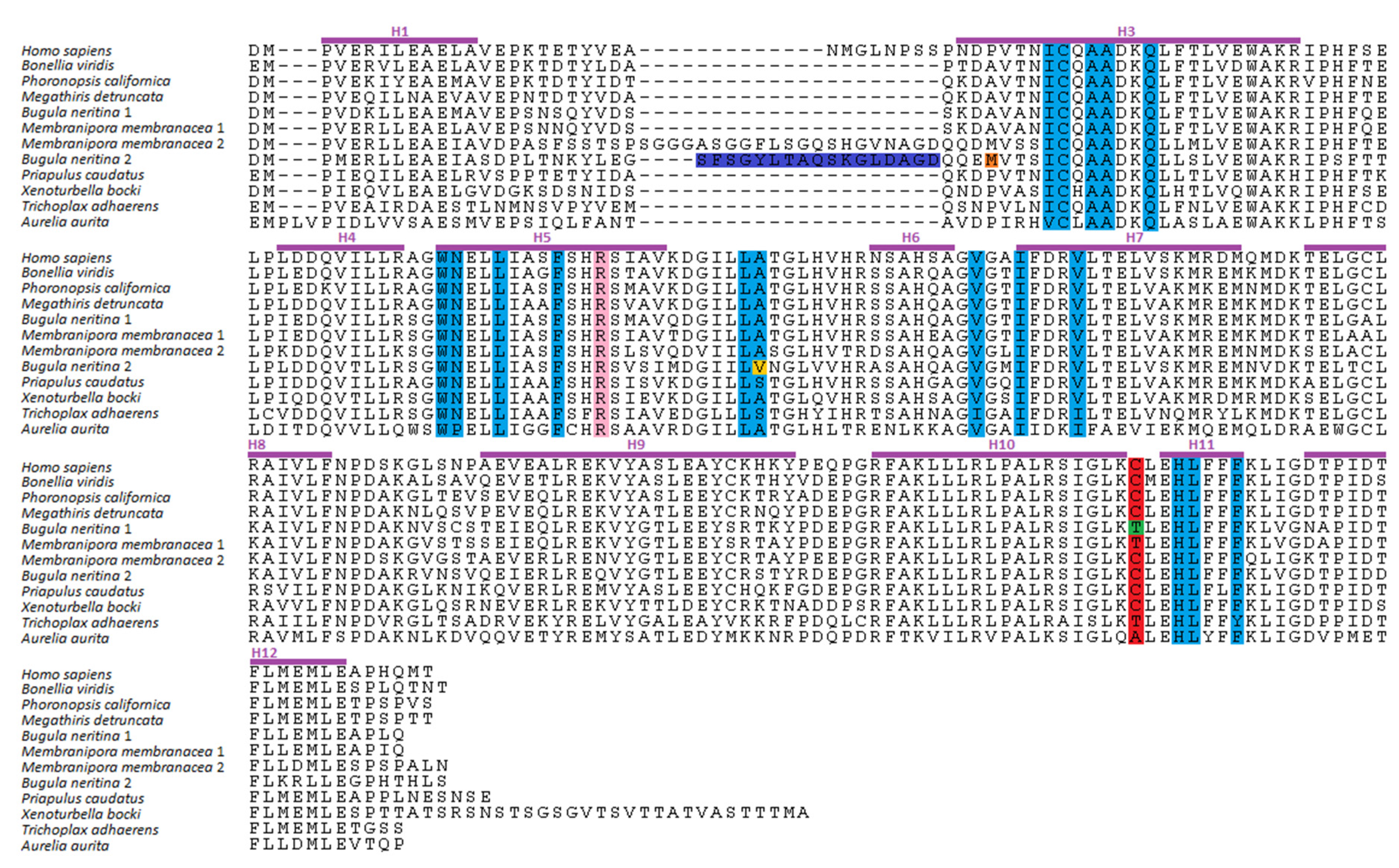 Biomolecules 10 00594 g002