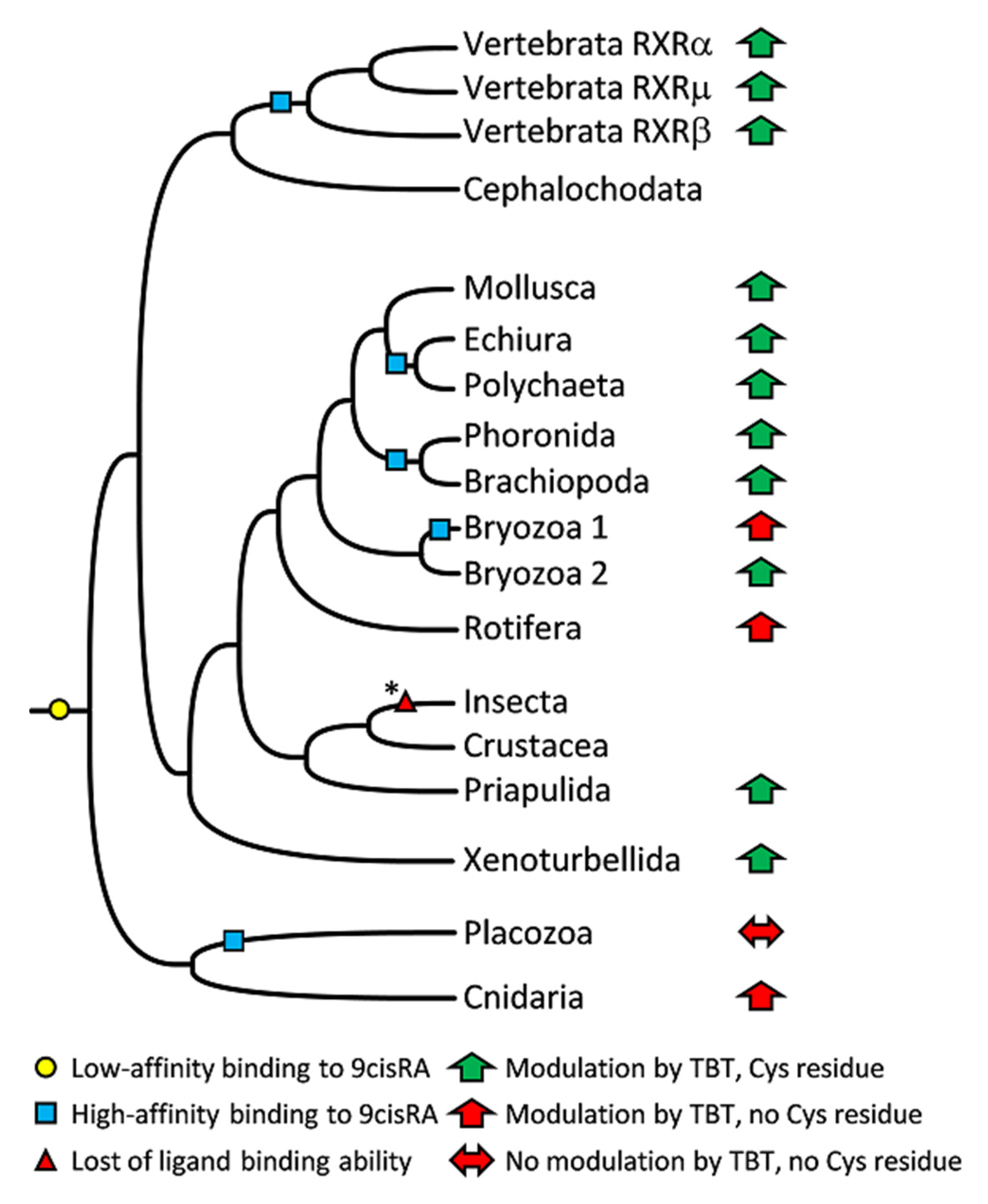 Biomolecules 10 00594 g006