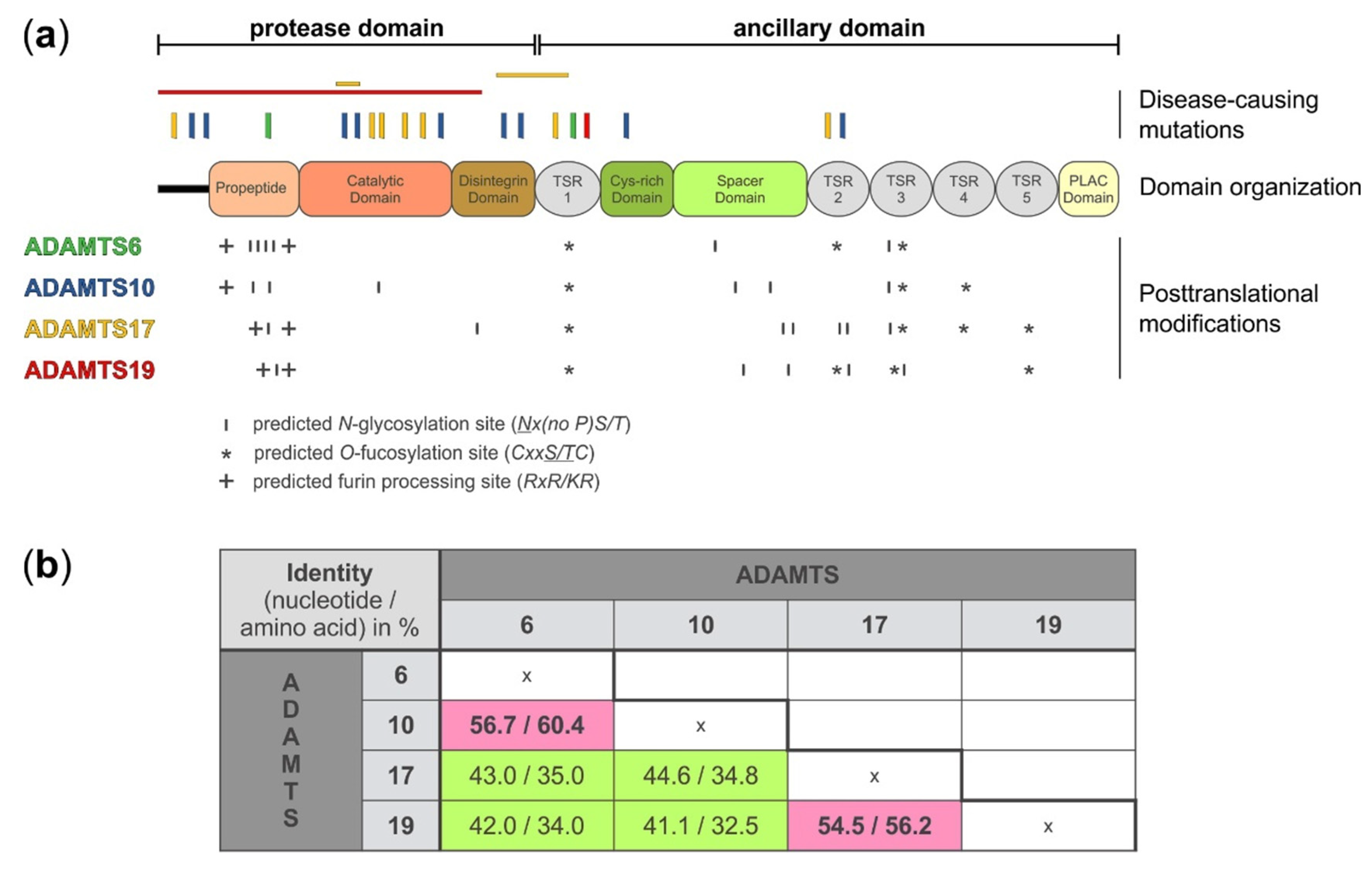 Biomolecules 10 00596 g001 Biomolecules 10 00596 g001