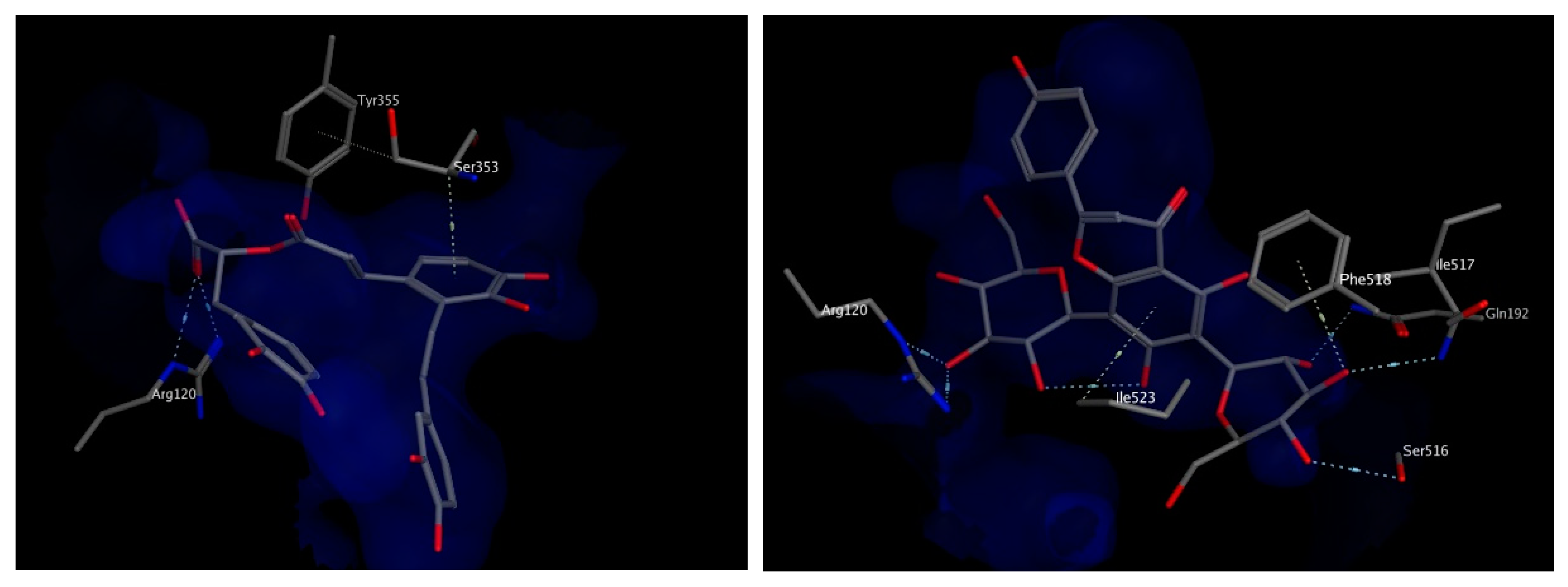 Biomolecules 10 00599 g006
