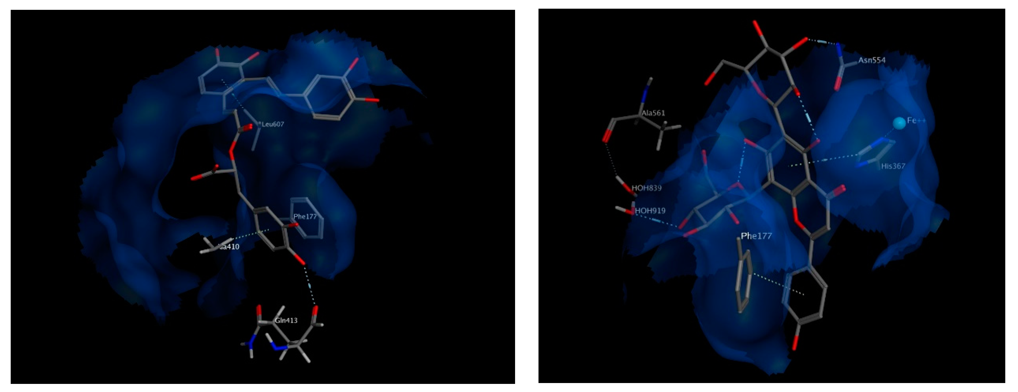 Biomolecules 10 00599 g008