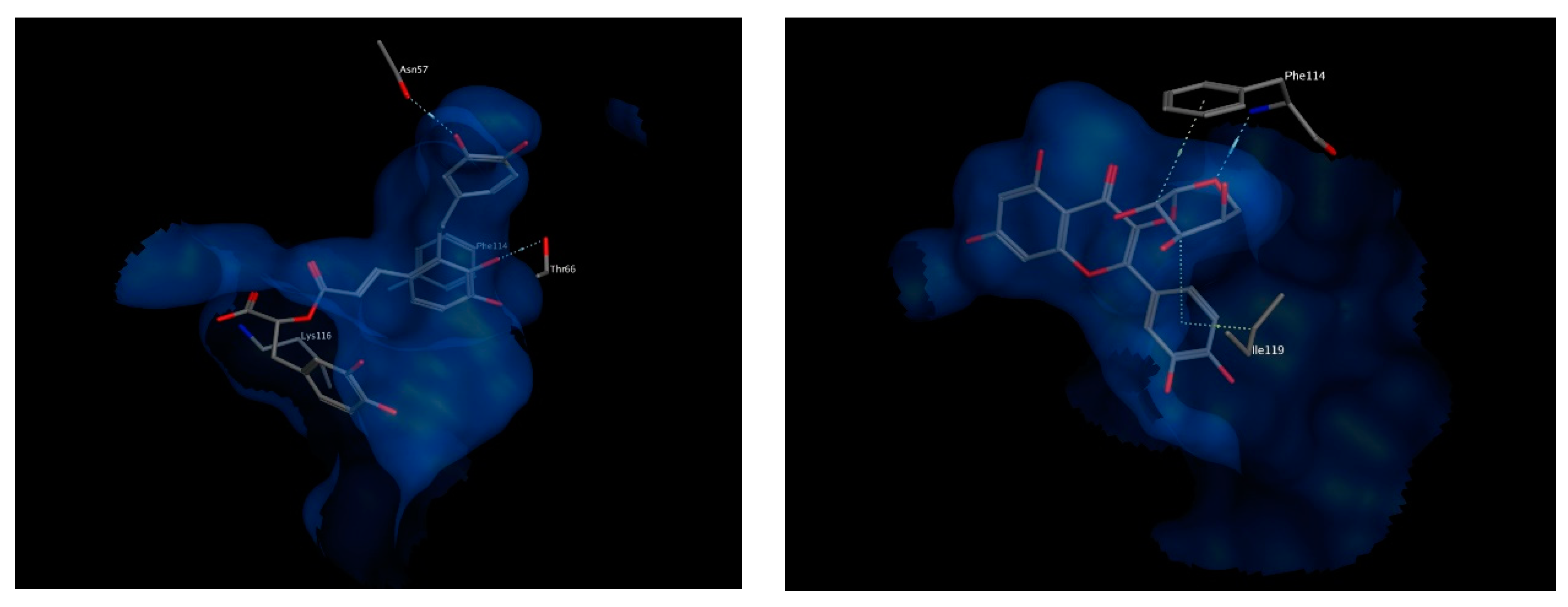 Biomolecules 10 00599 g009