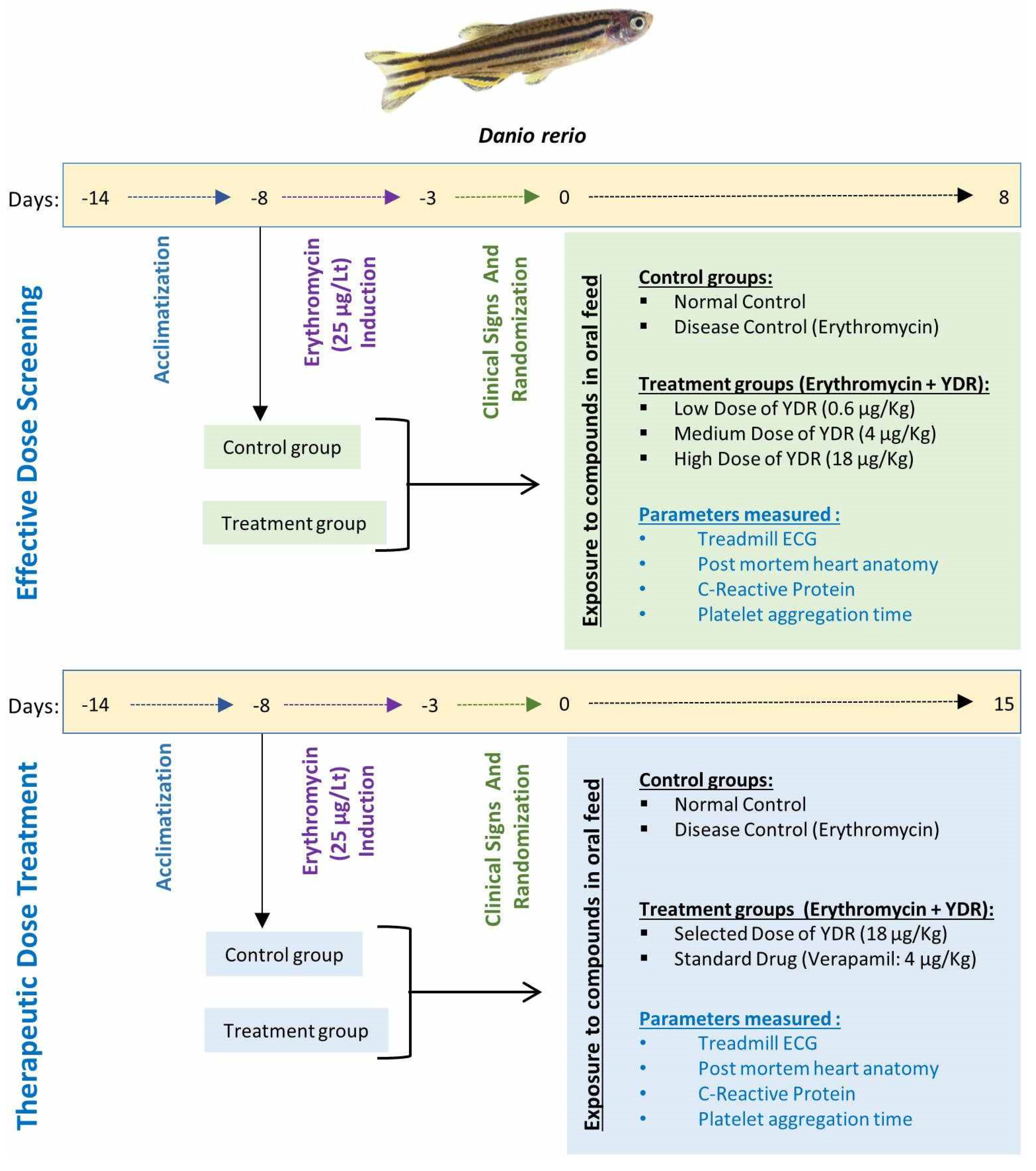 Biomolecules 10 00600 g001