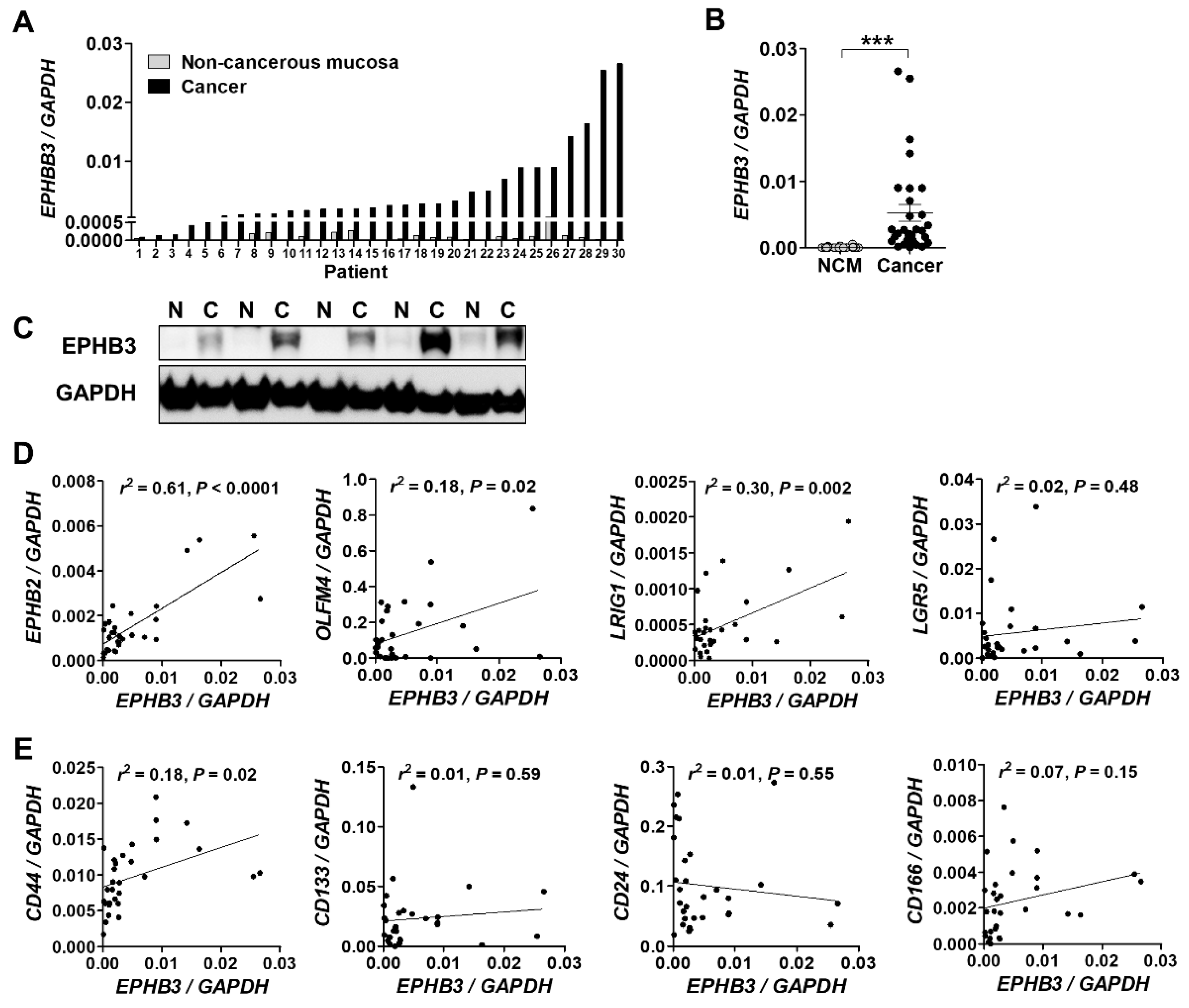 Biomolecules 10 00602 g001