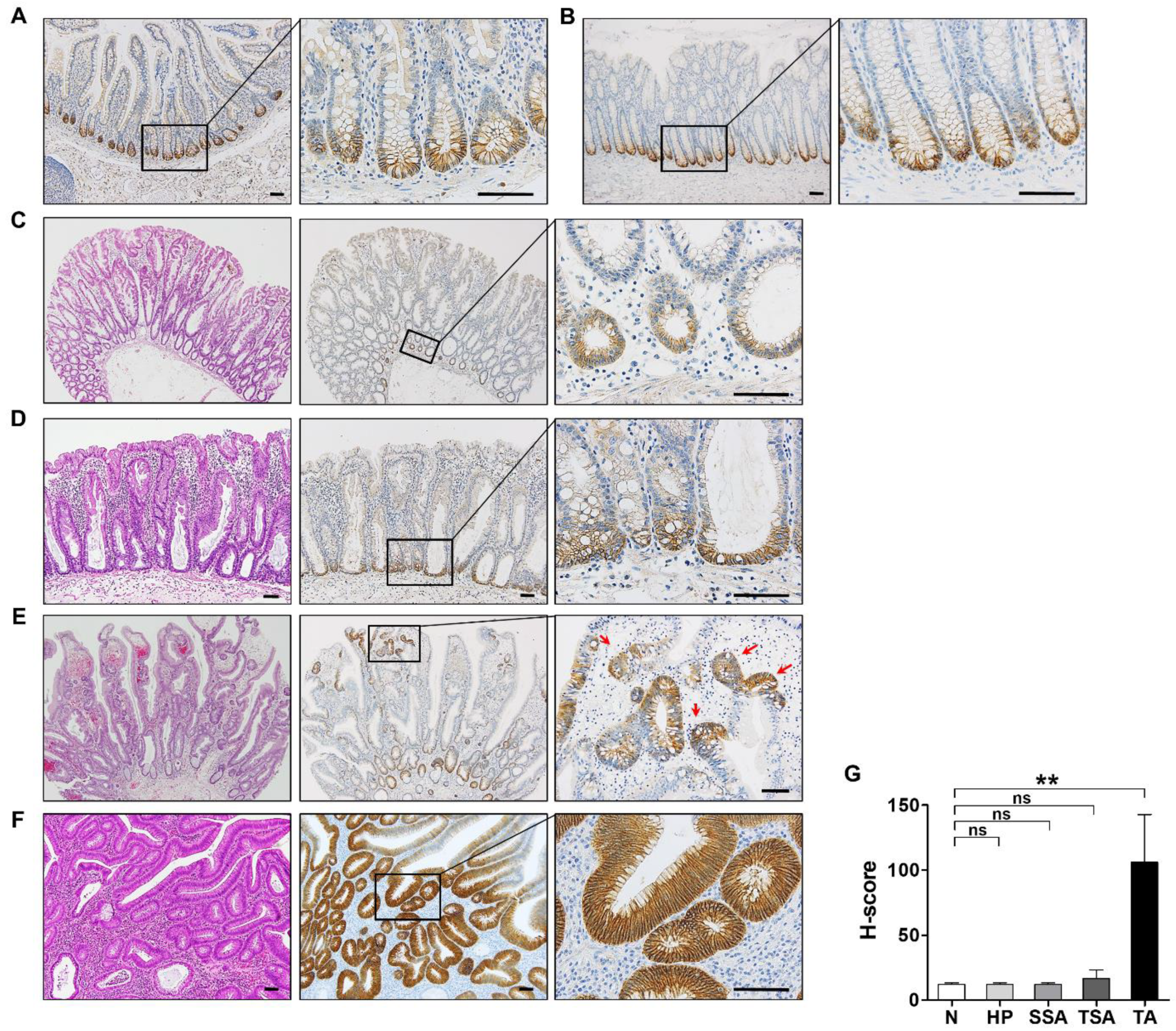 Biomolecules 10 00602 g002
