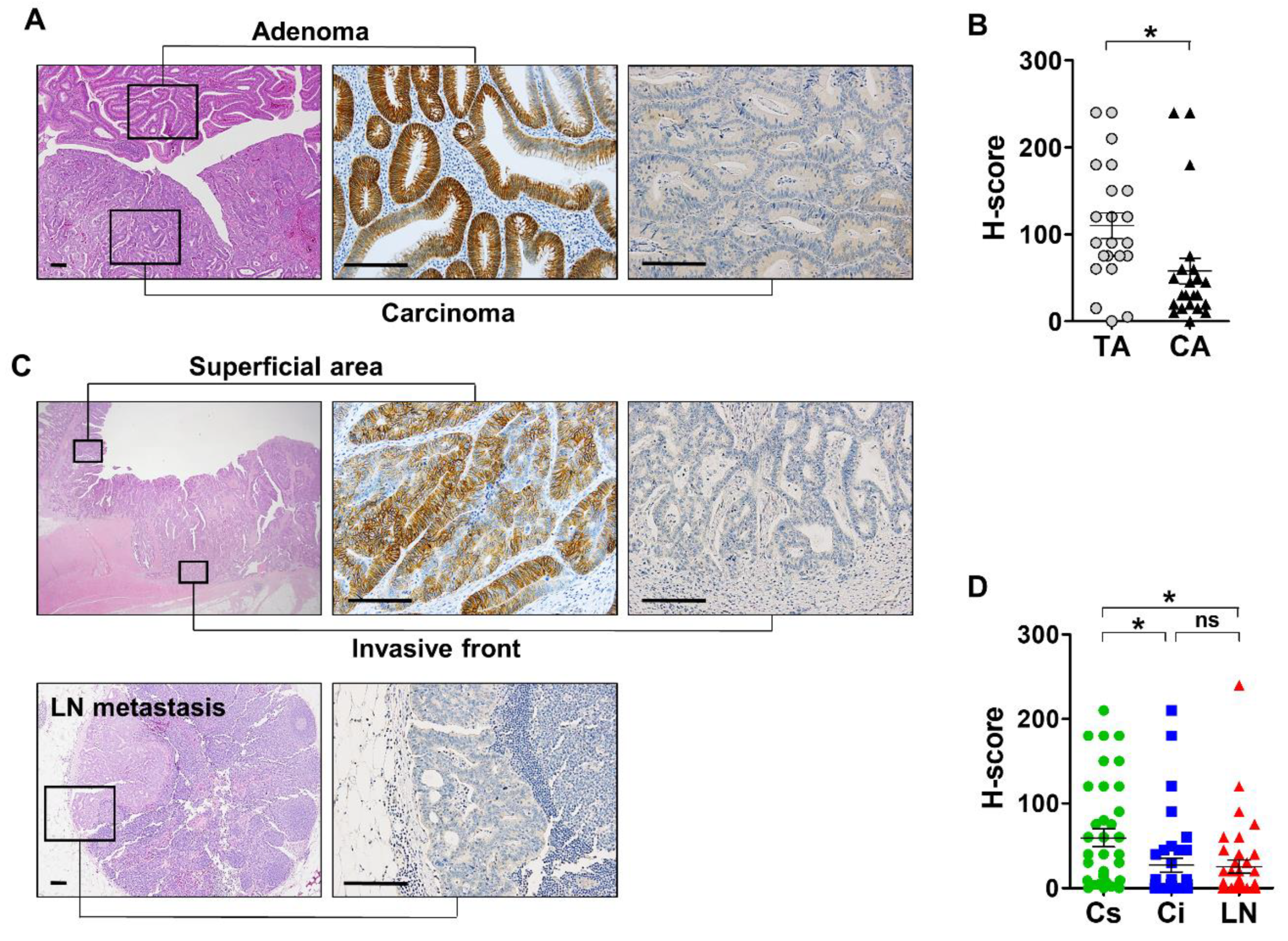 Biomolecules 10 00602 g003