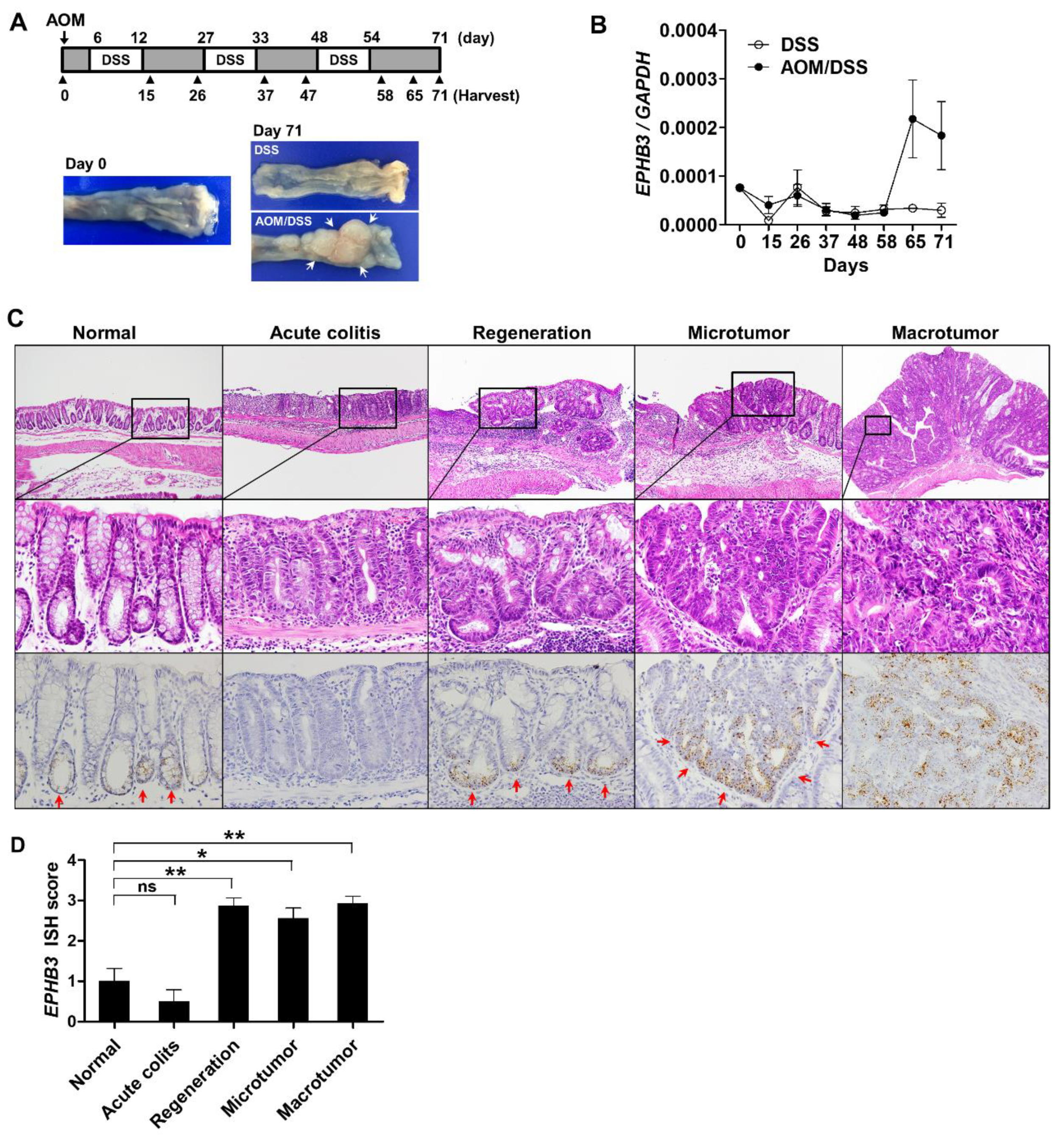 Biomolecules 10 00602 g005