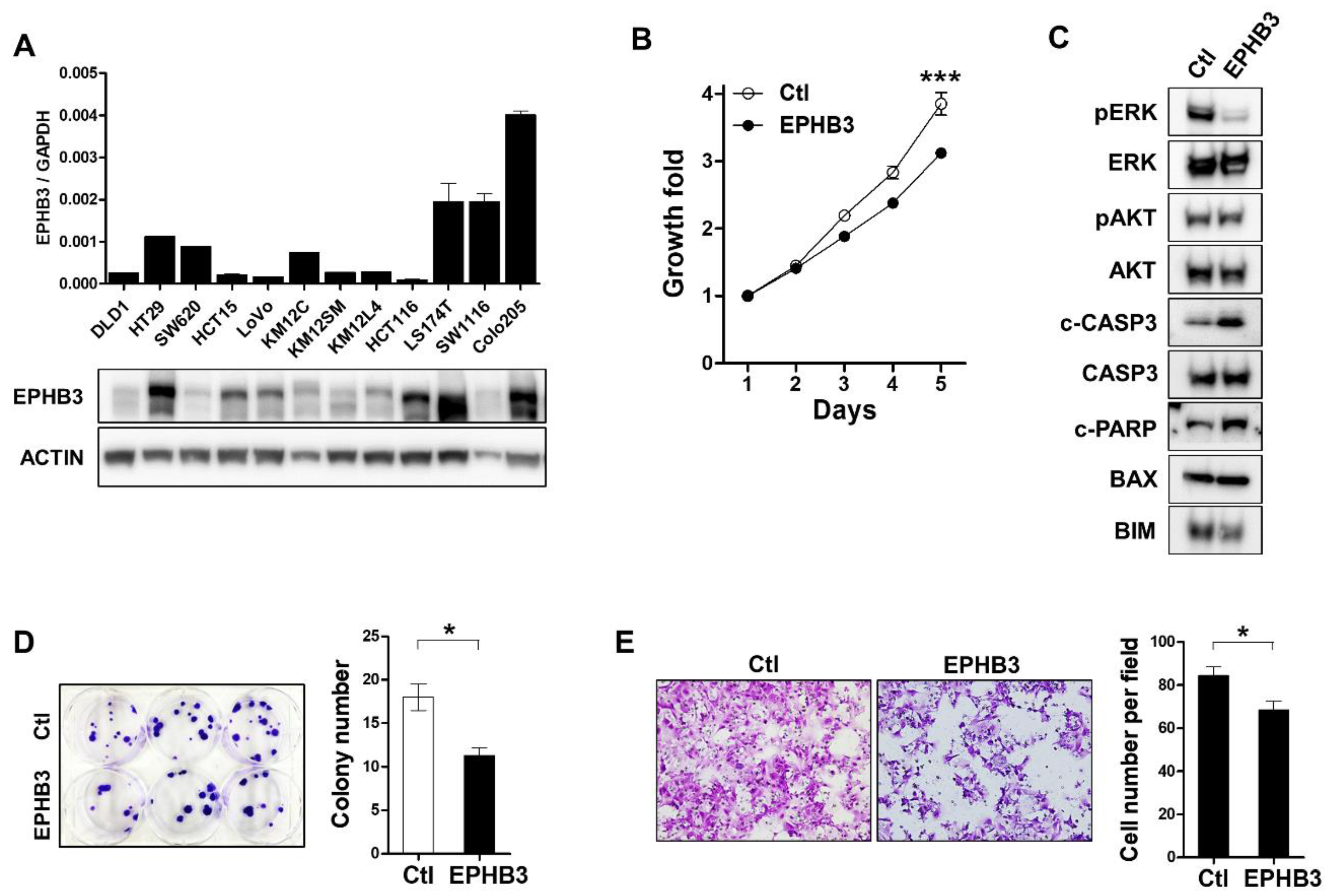 Biomolecules 10 00602 g007