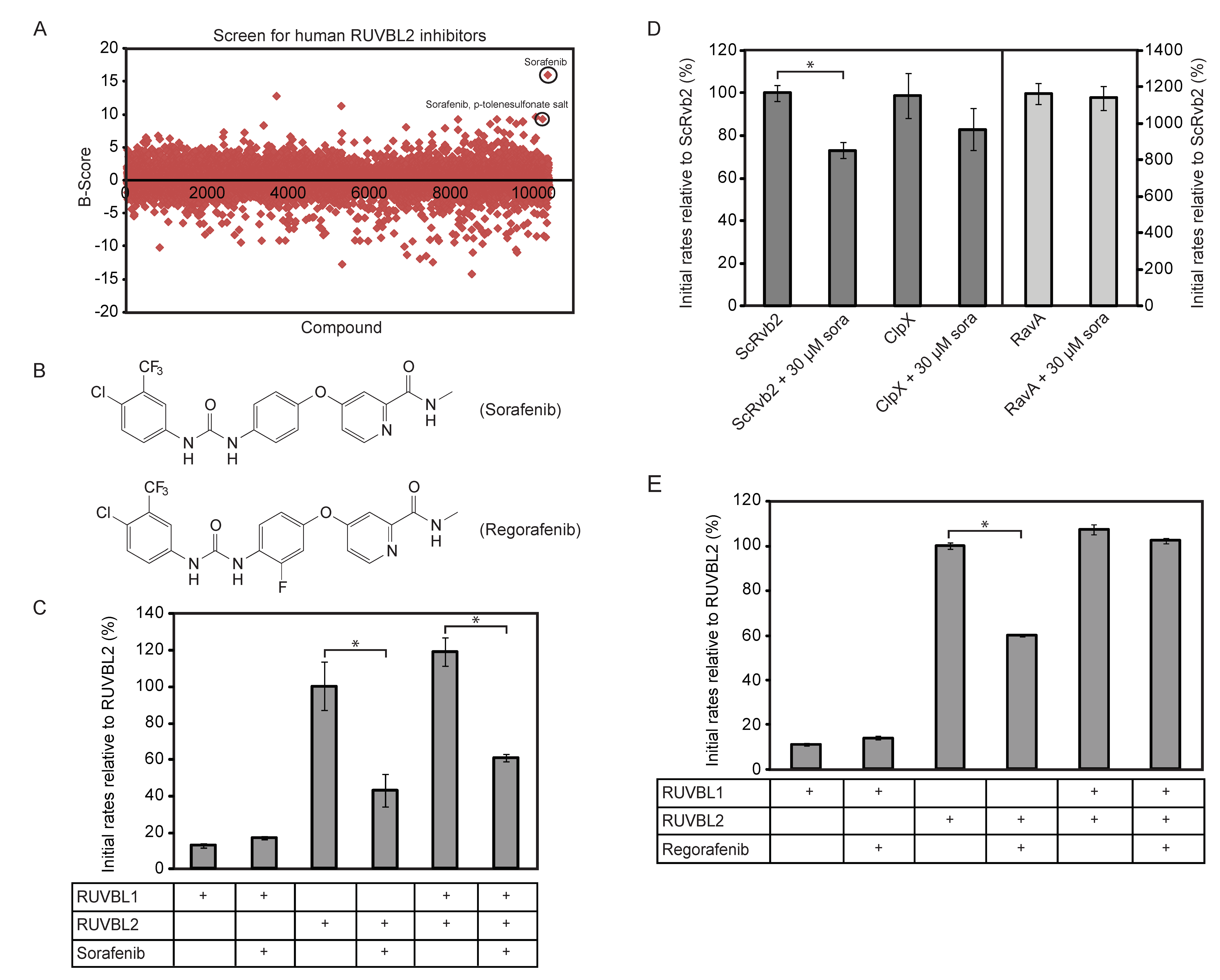 Biomolecules 10 00605 g001