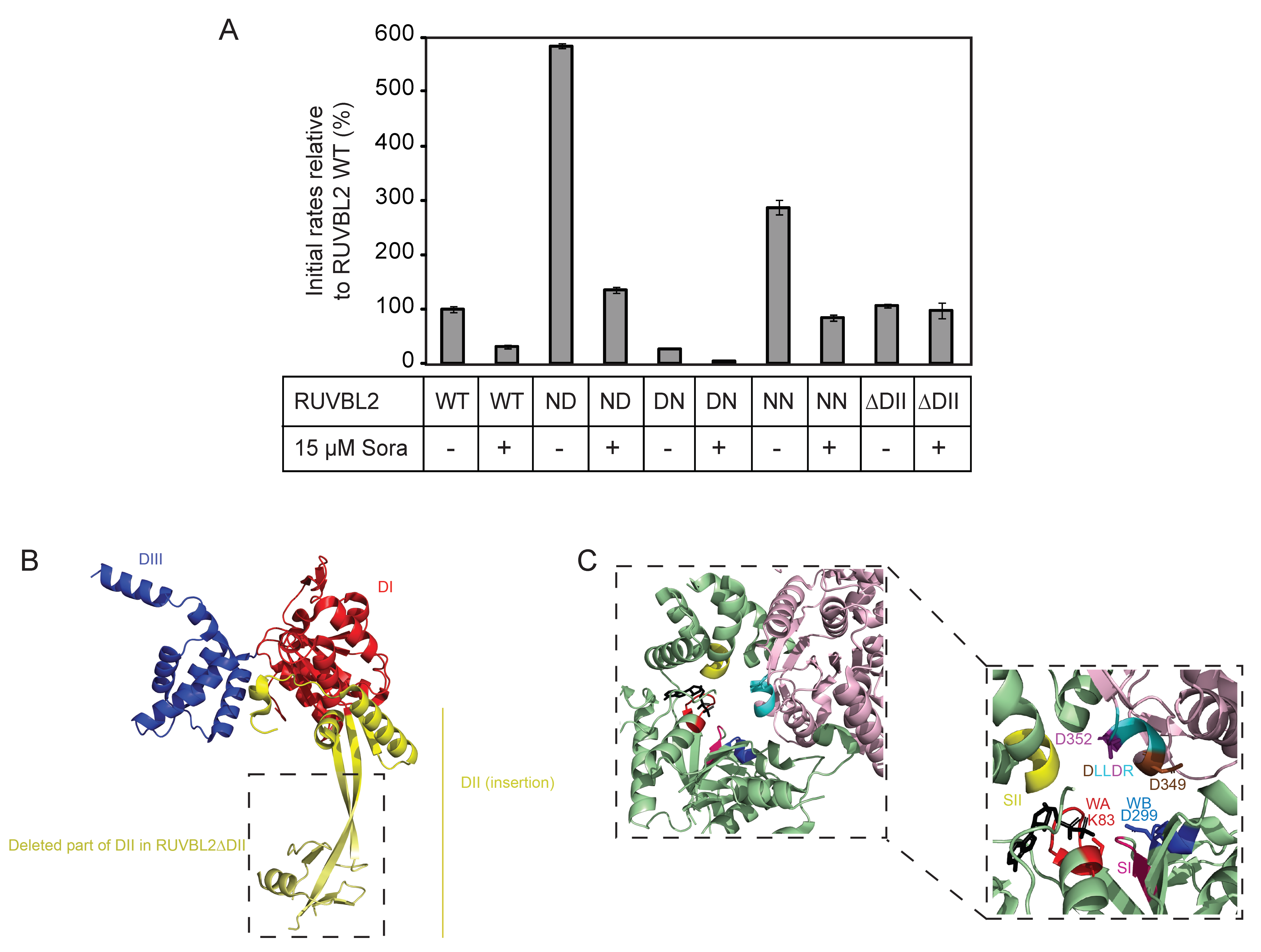 Biomolecules 10 00605 g004