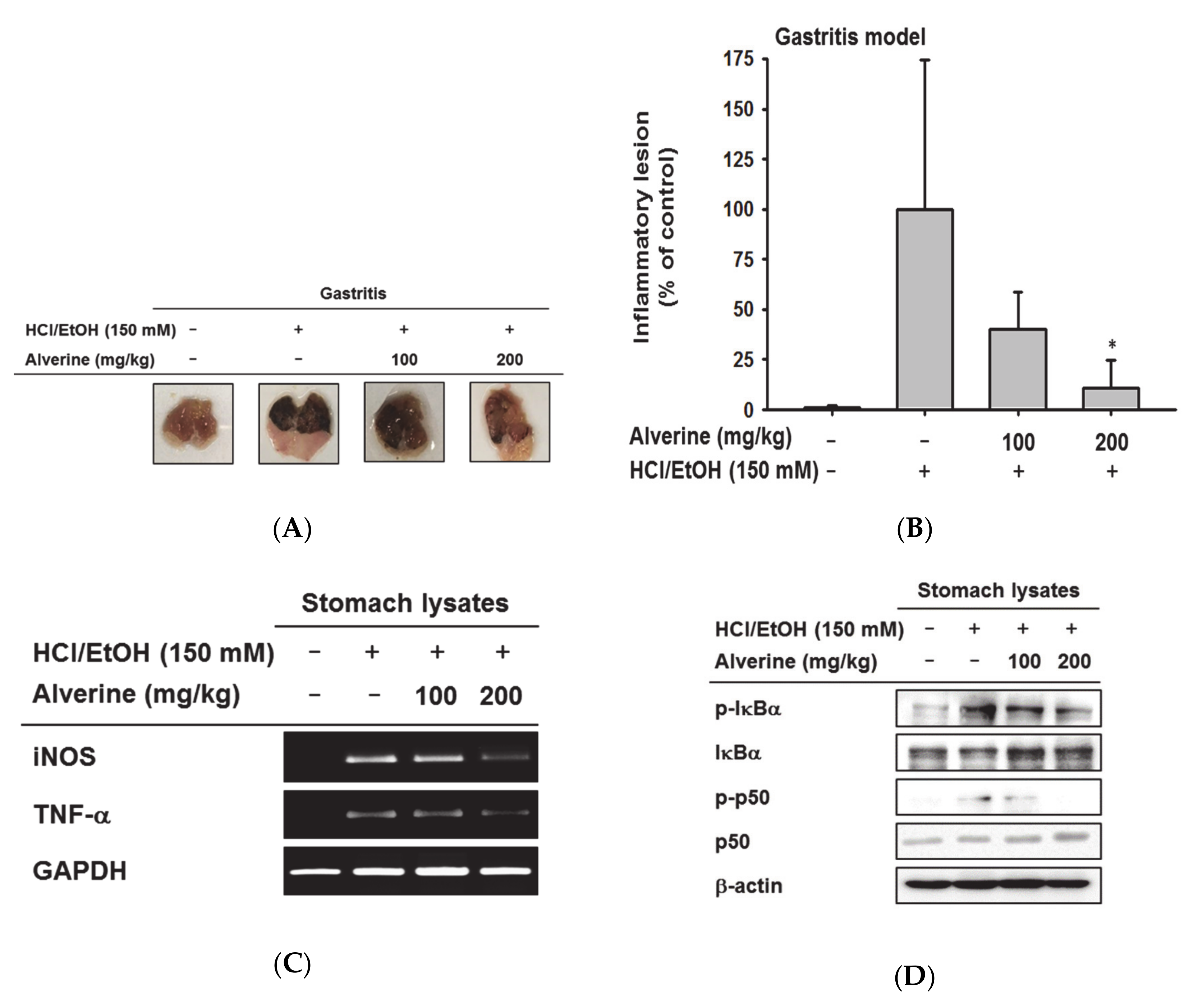 Biomolecules 10 00611 g004