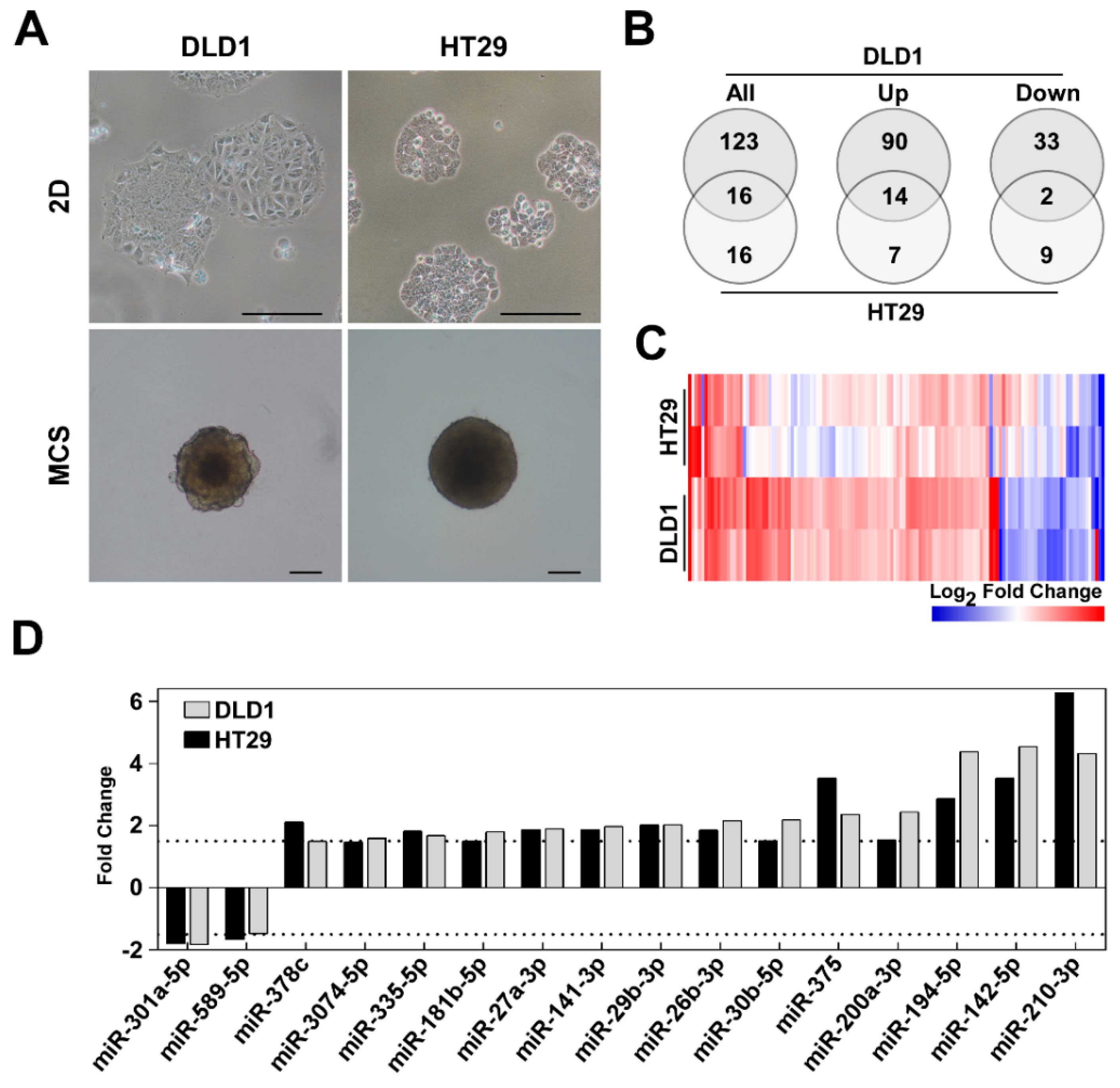 Biomolecules 10 00613 g001