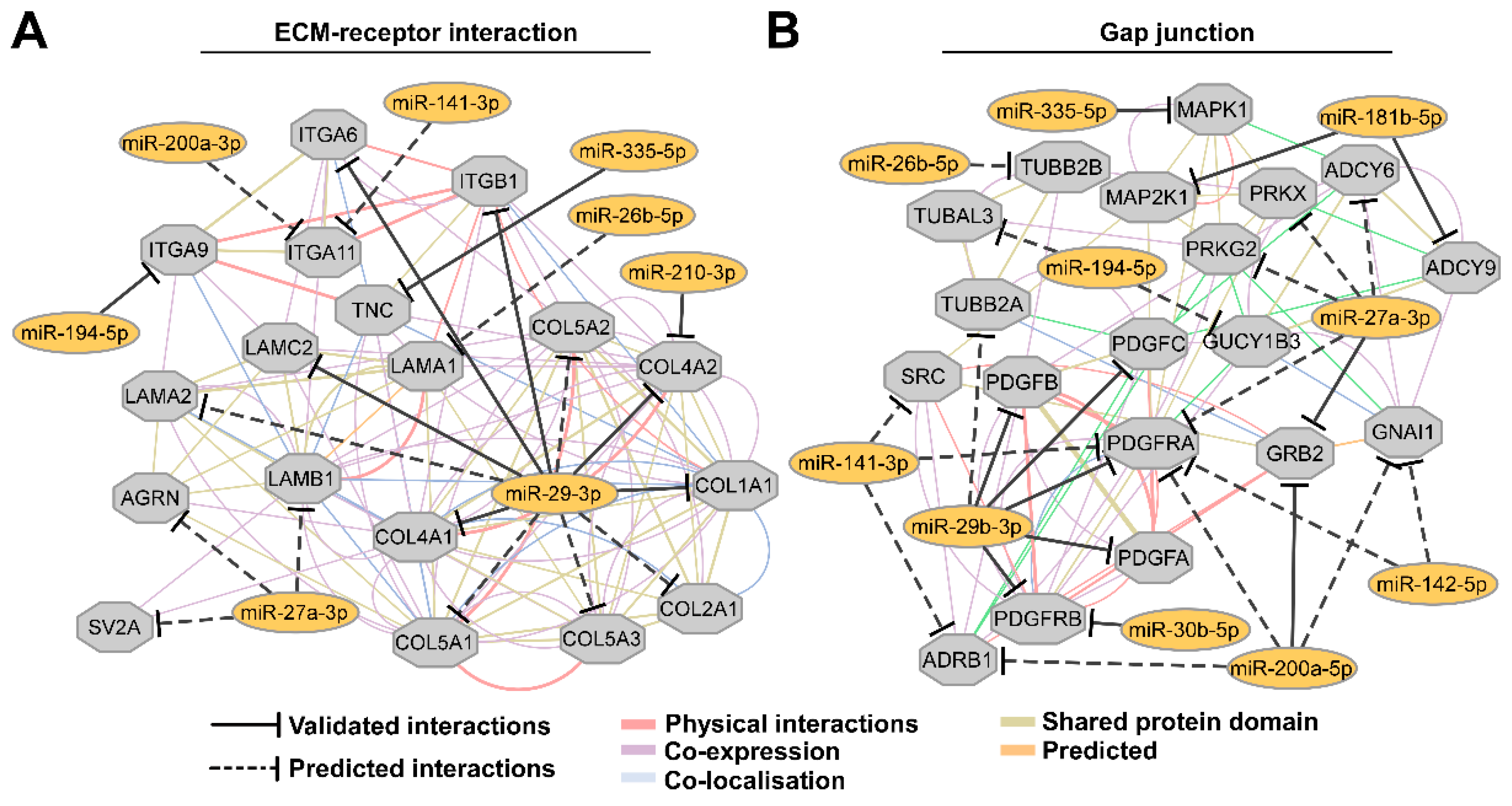 Biomolecules 10 00613 g003