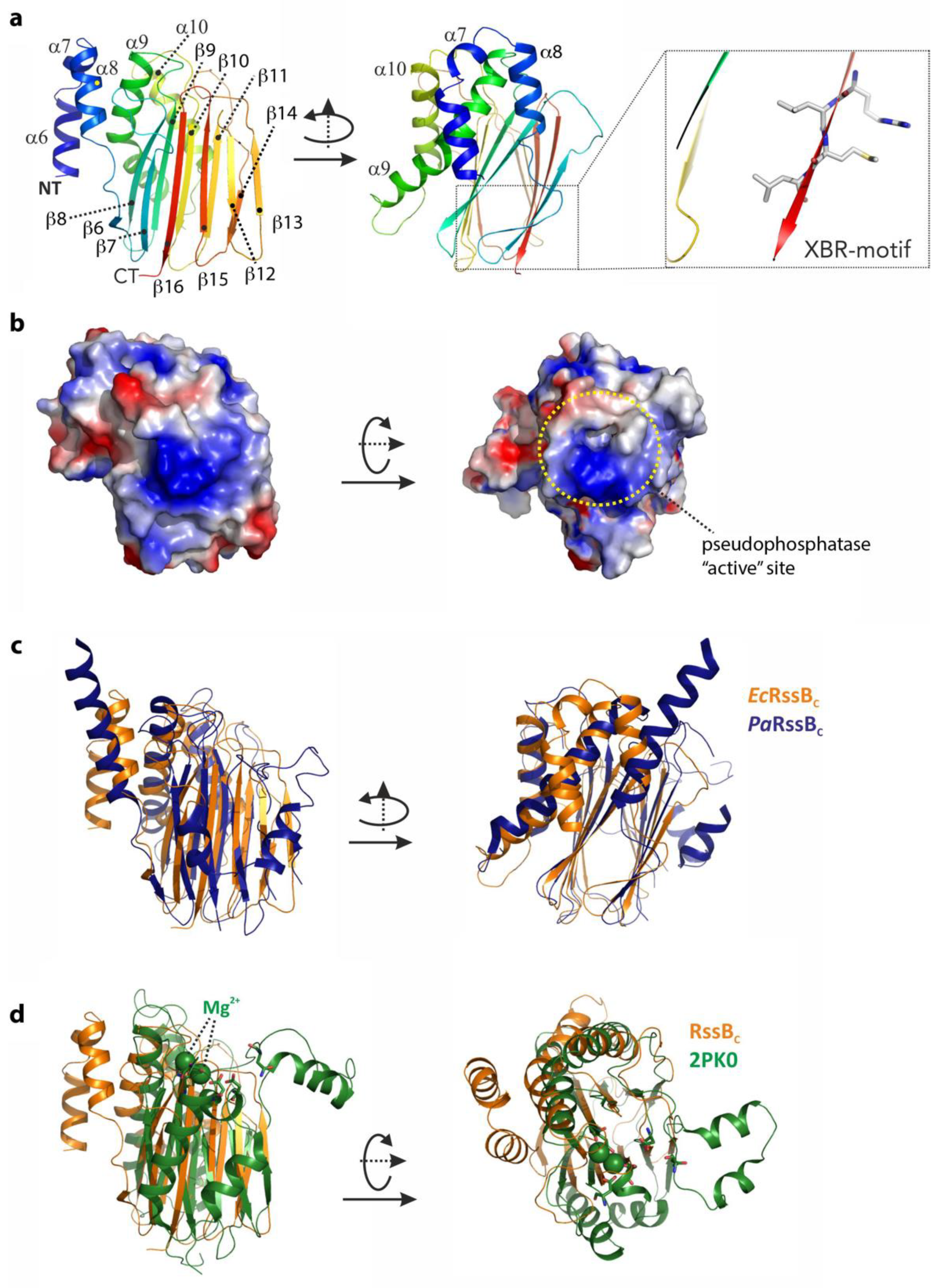 Biomolecules 10 00615 g003