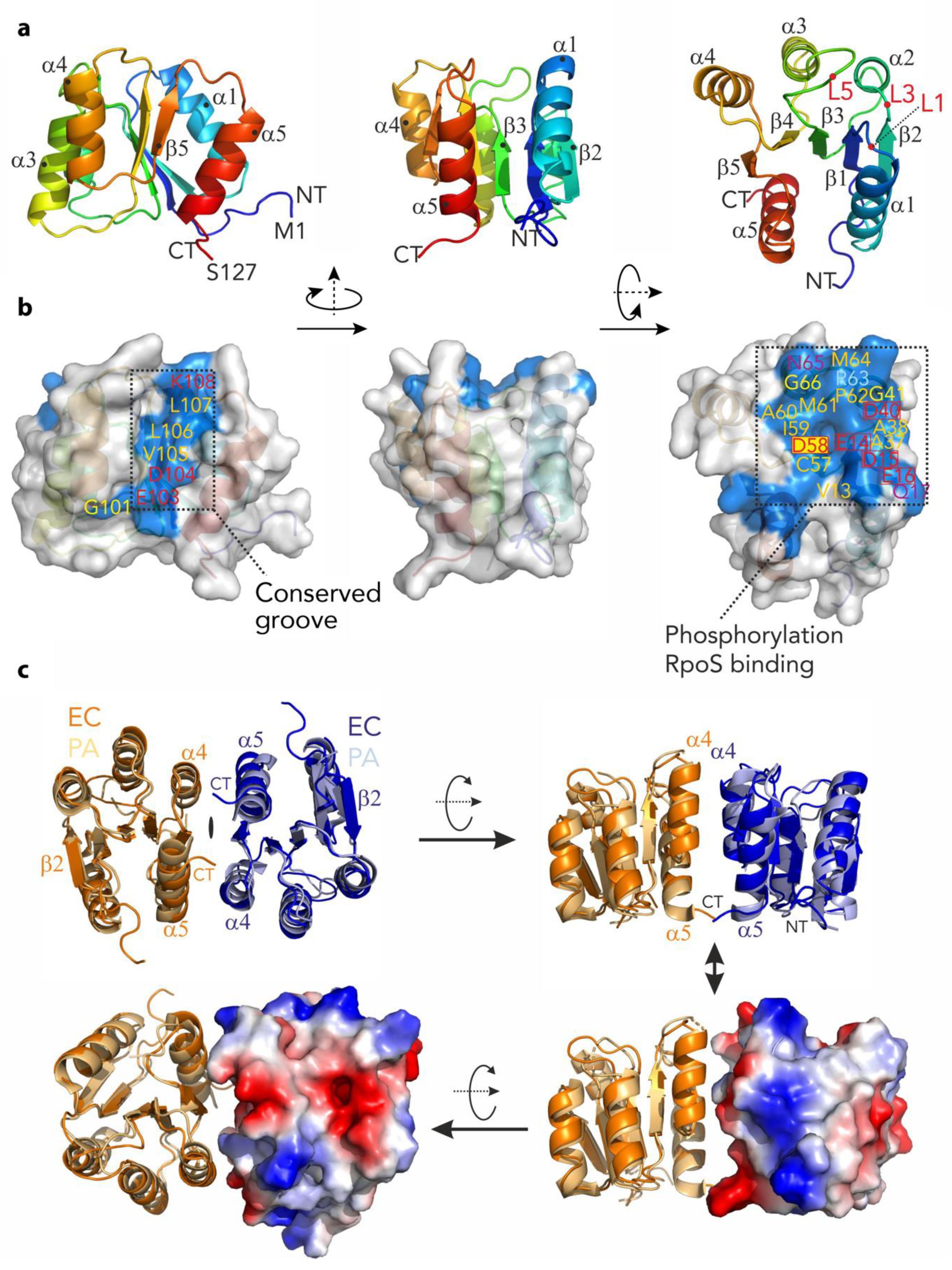 Biomolecules 10 00615 g004