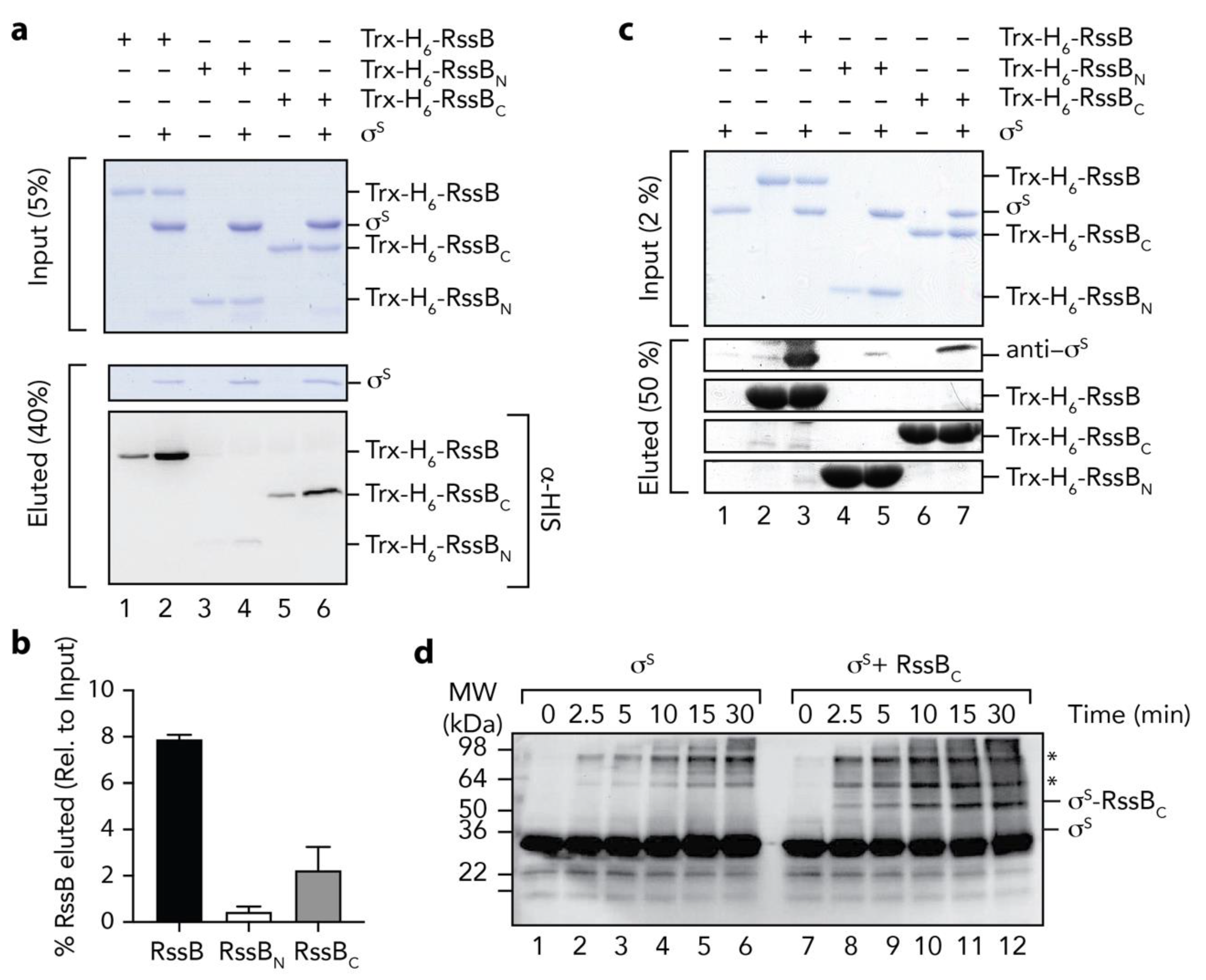 Biomolecules 10 00615 g005