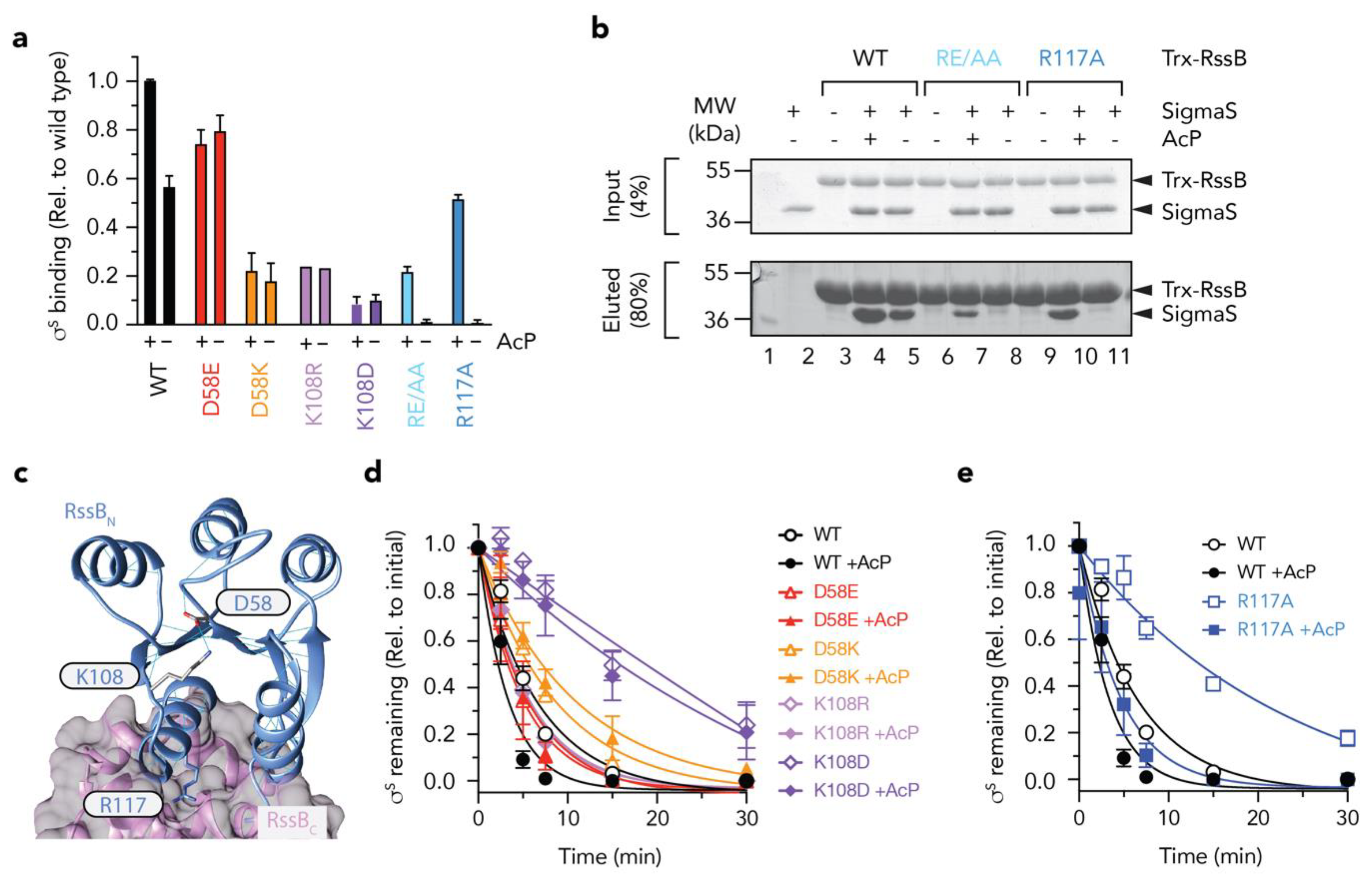 Biomolecules 10 00615 g006