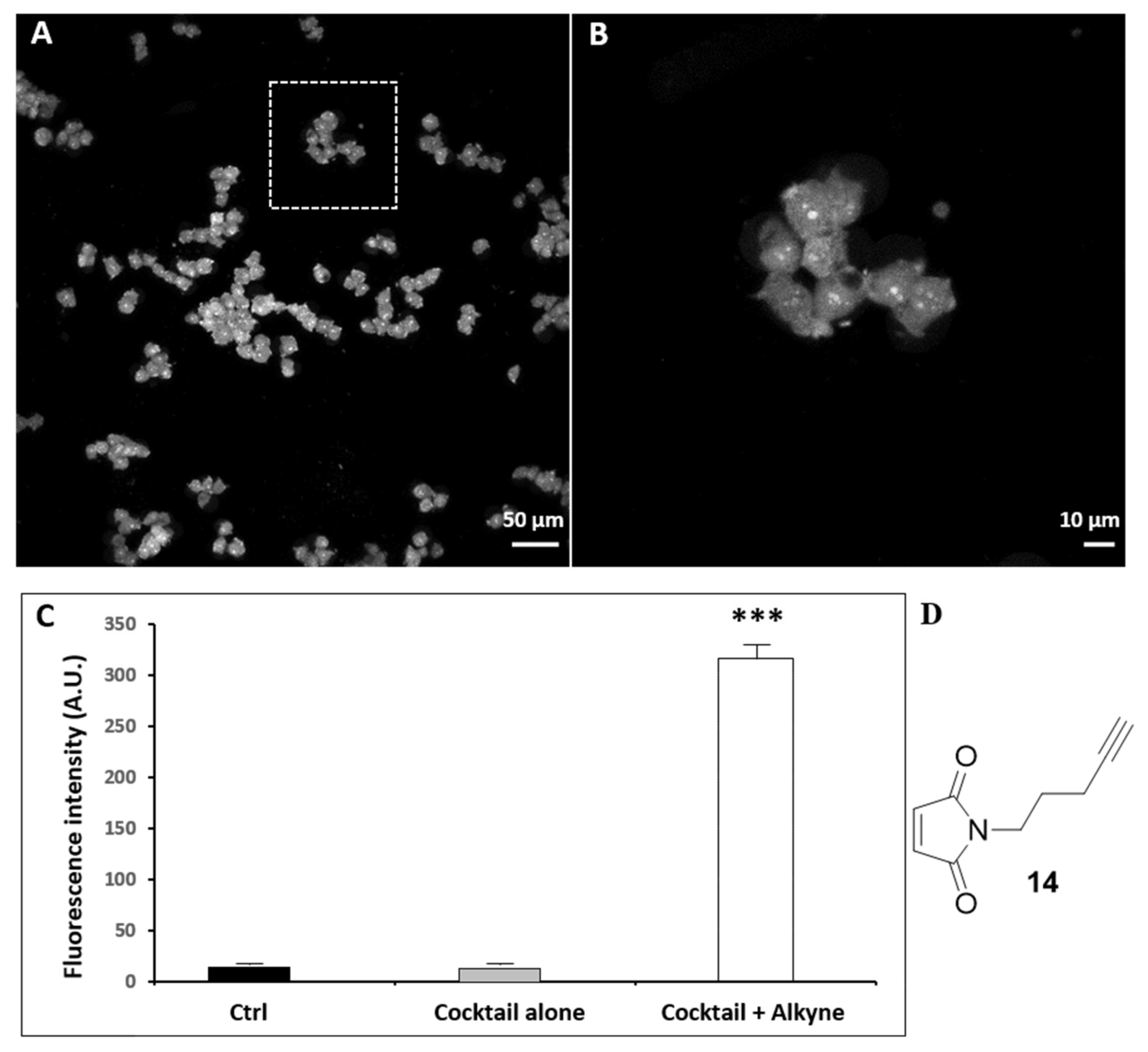 Biomolecules 10 00619 g005