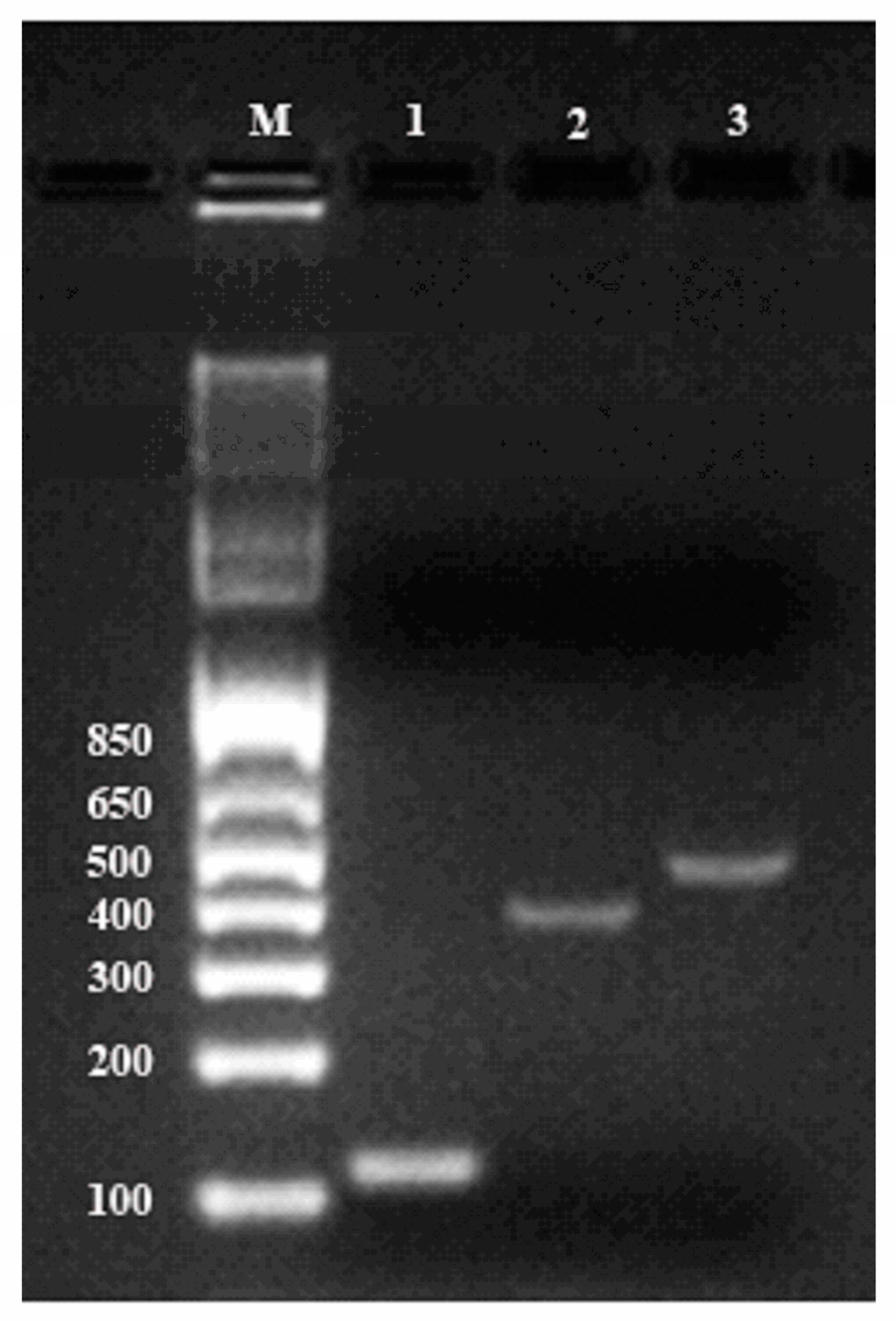 Biomolecules 10 00621 g003