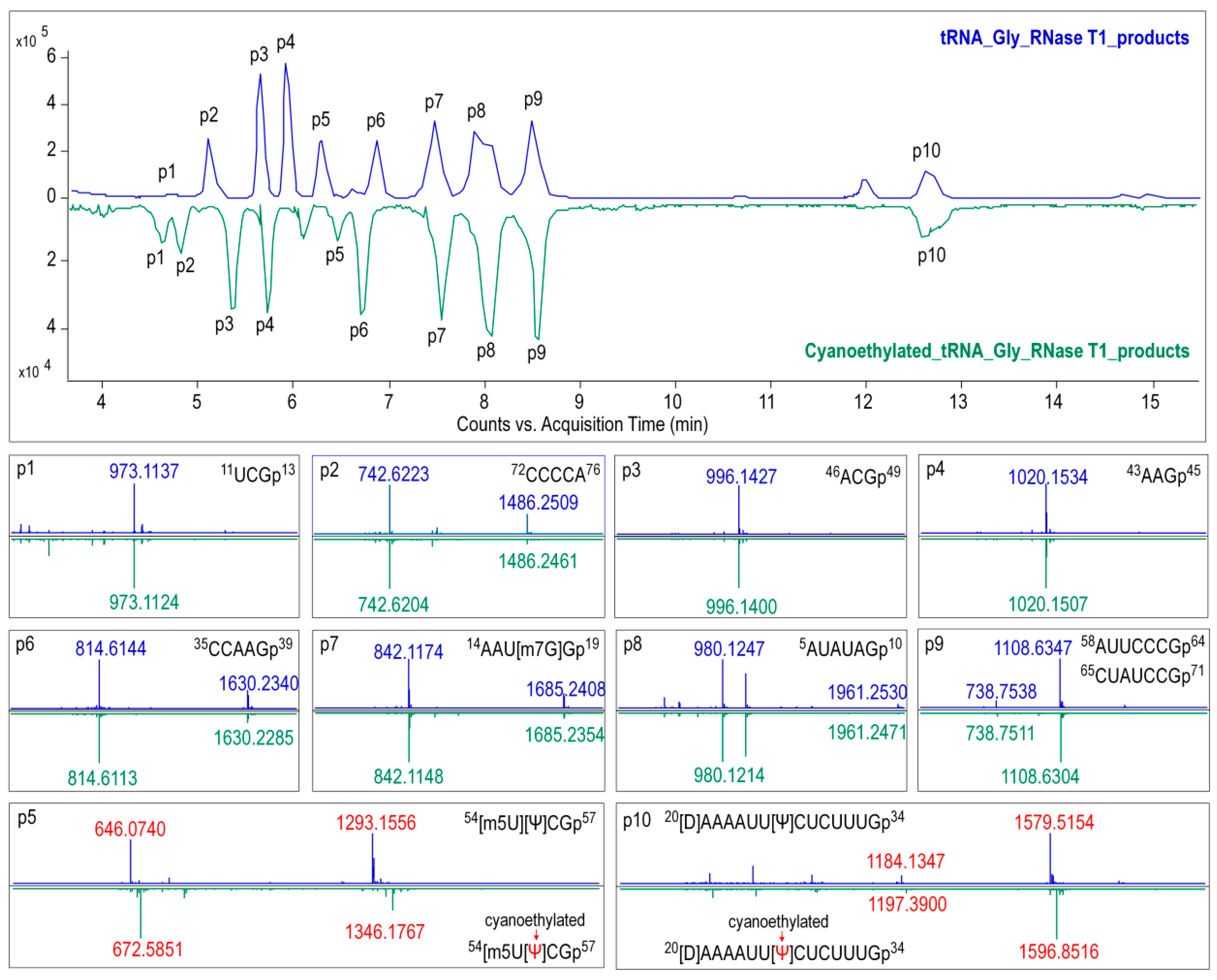 Biomolecules 10 00621 g006