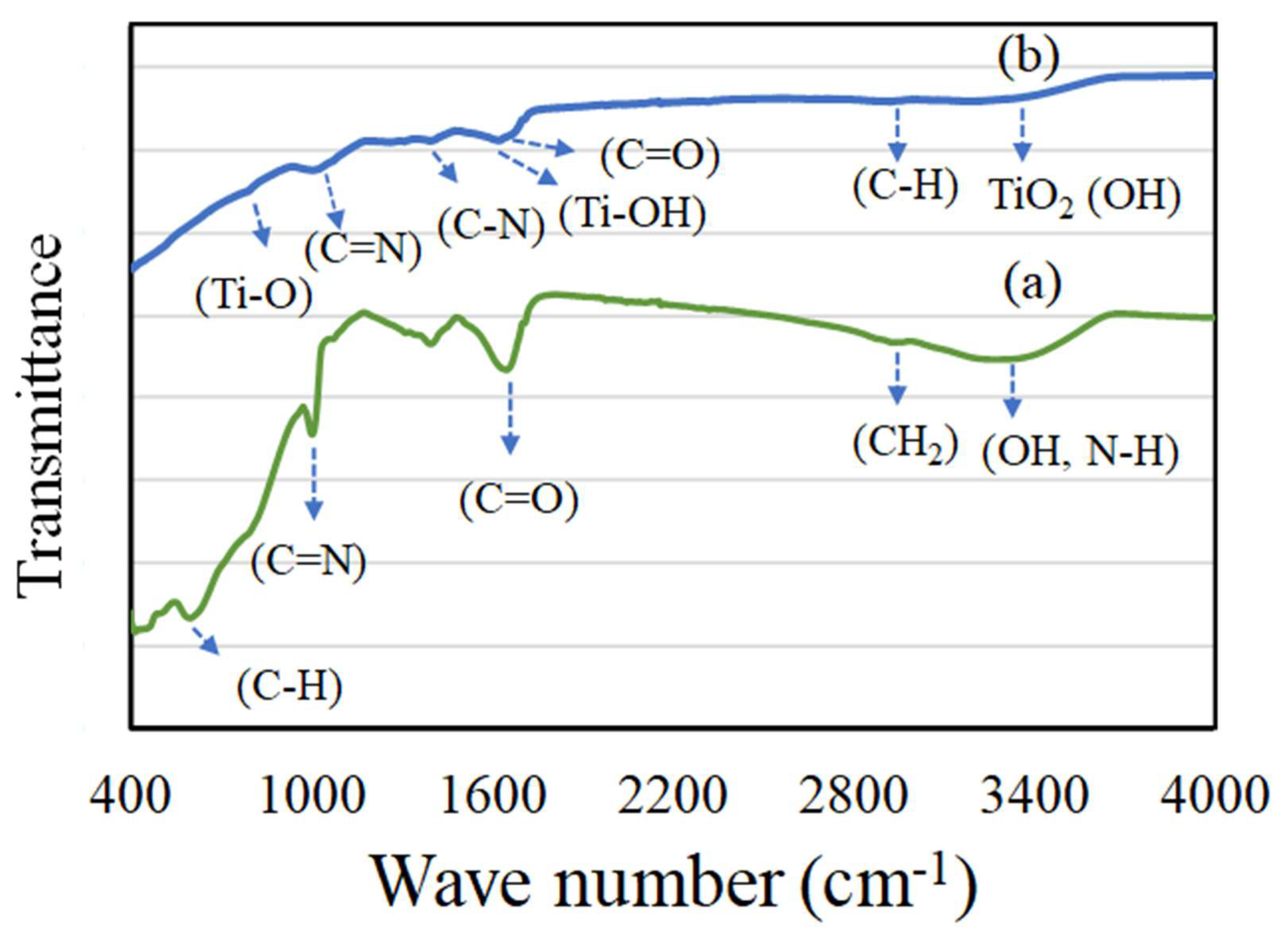 Biomolecules 10 00622 g004 Biomolecules 10 00622 g004