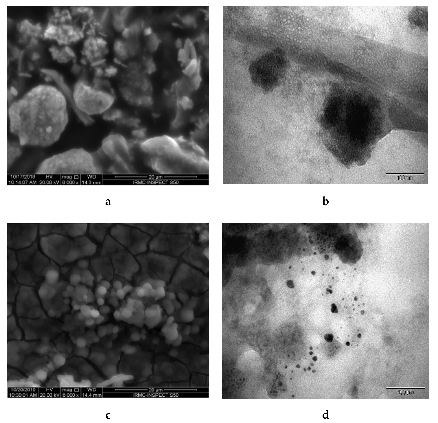Biomolecules 10 00622 g005 Biomolecules 10 00622 g005