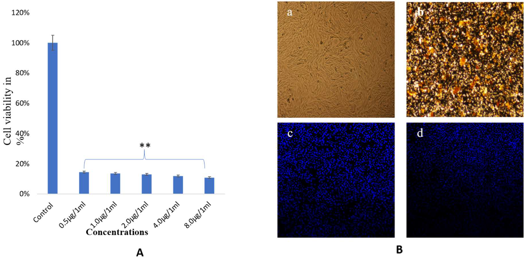 Biomolecules 10 00622 g009 Biomolecules 10 00622 g009
