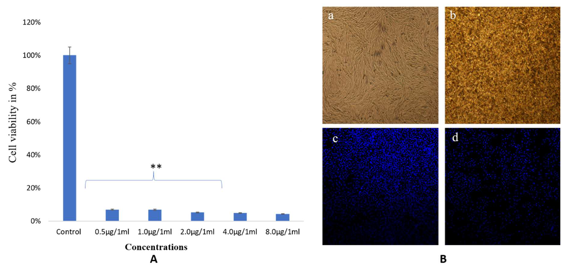 Biomolecules 10 00622 g010 Biomolecules 10 00622 g010