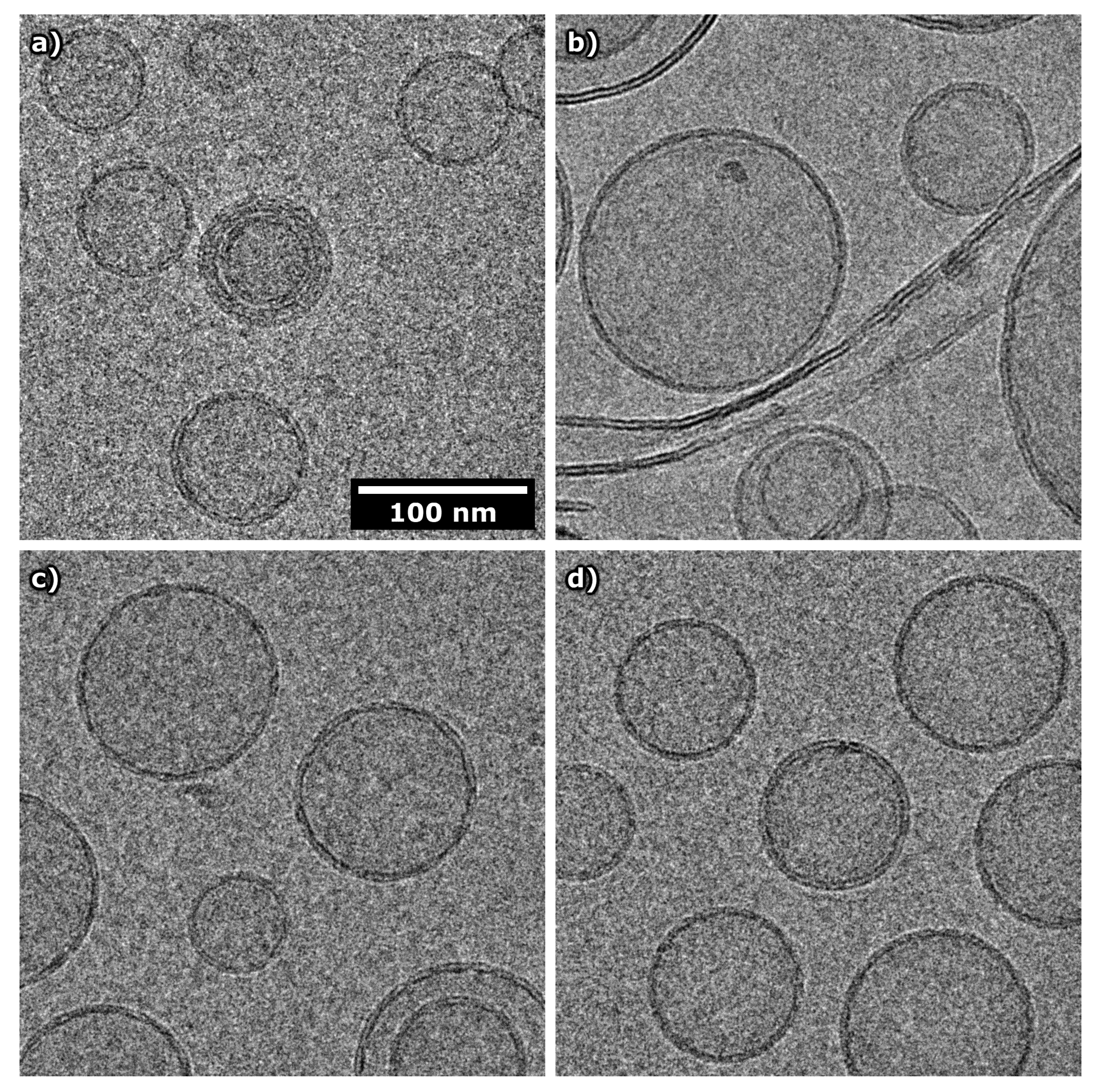 Biomolecules 10 00623 g009 Biomolecules 10 00623 g009