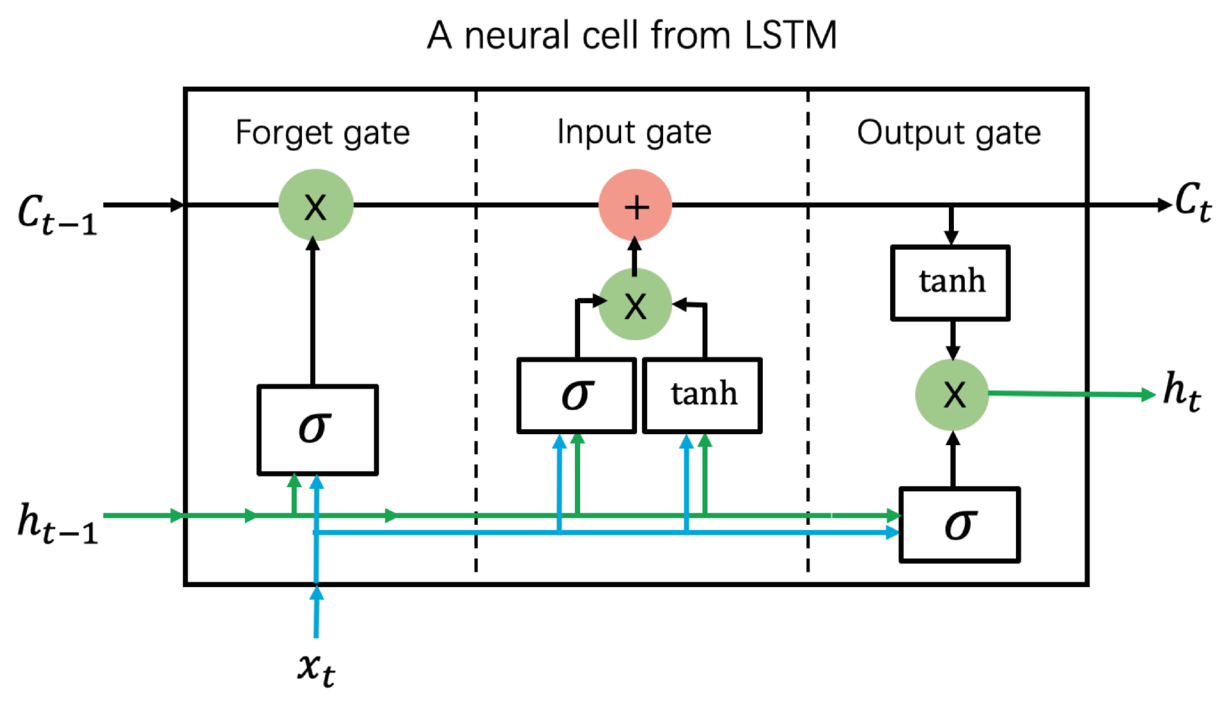 Biomolecules 10 00626 g007