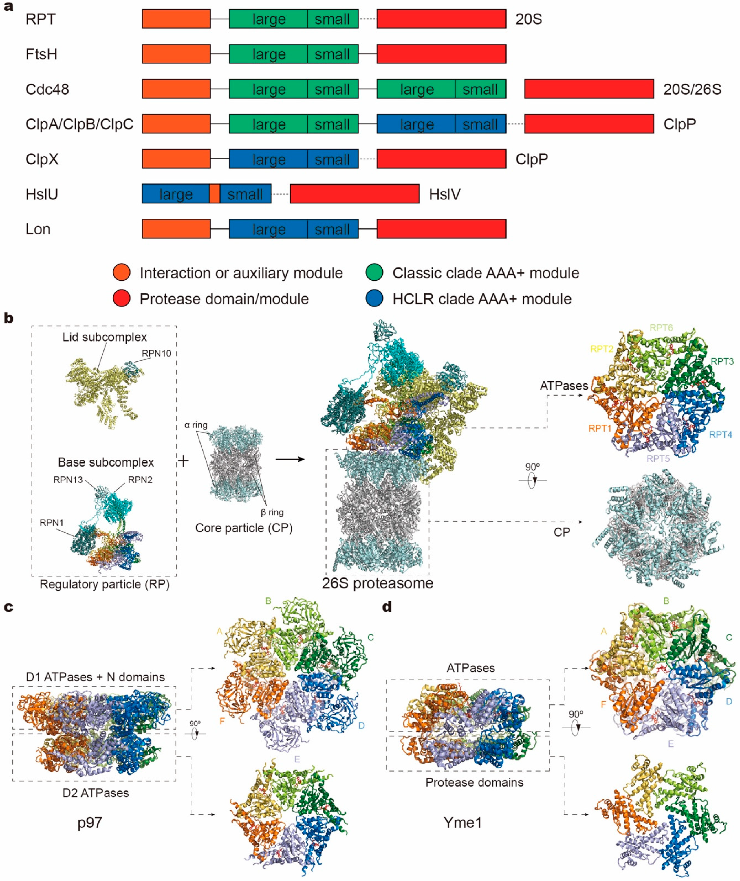 Biomolecules 10 00629 g001